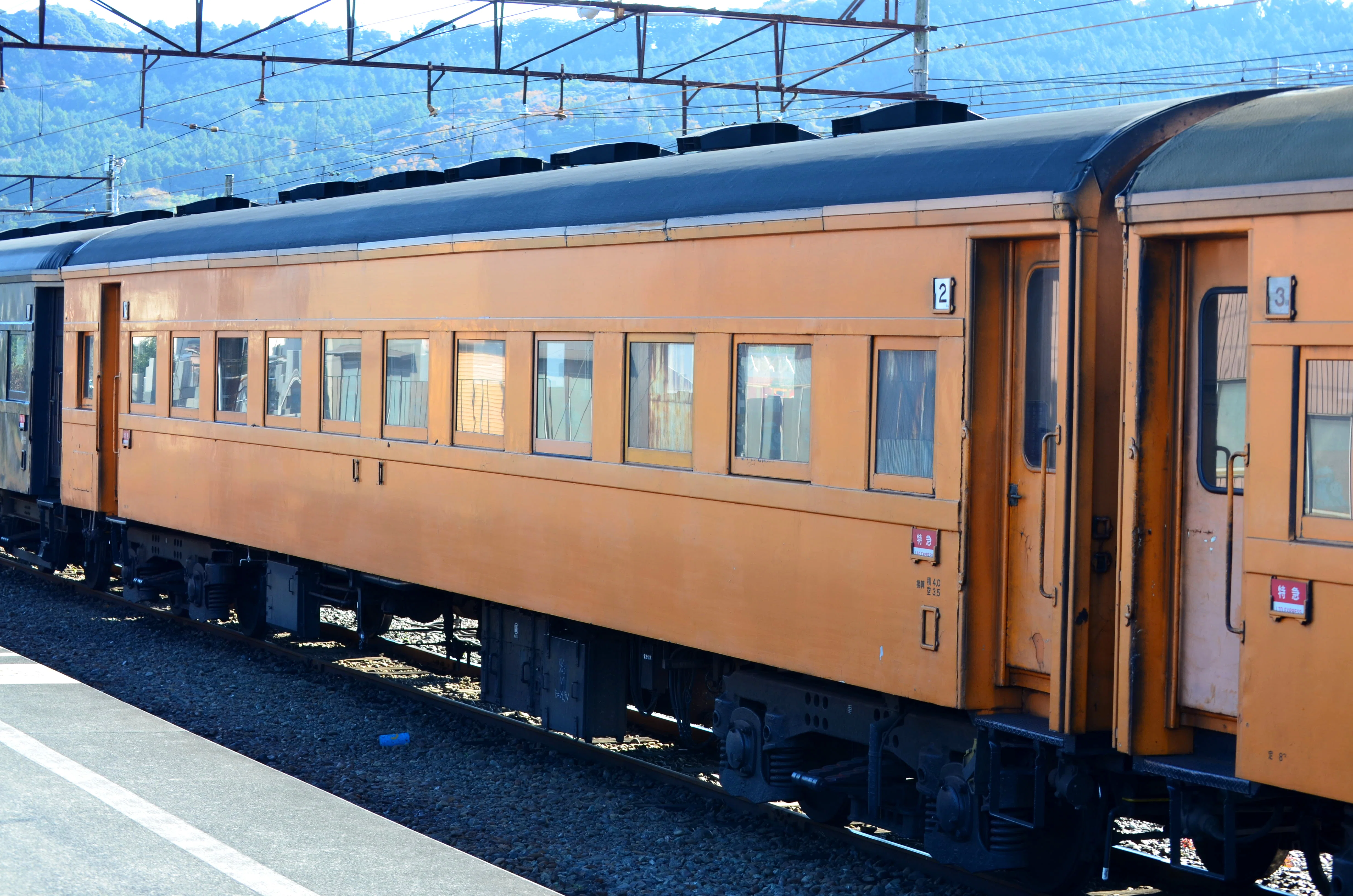 大井川鐵道の多彩な旧型客車たち｜vivace115の写真館(2027年3月まで休館中)