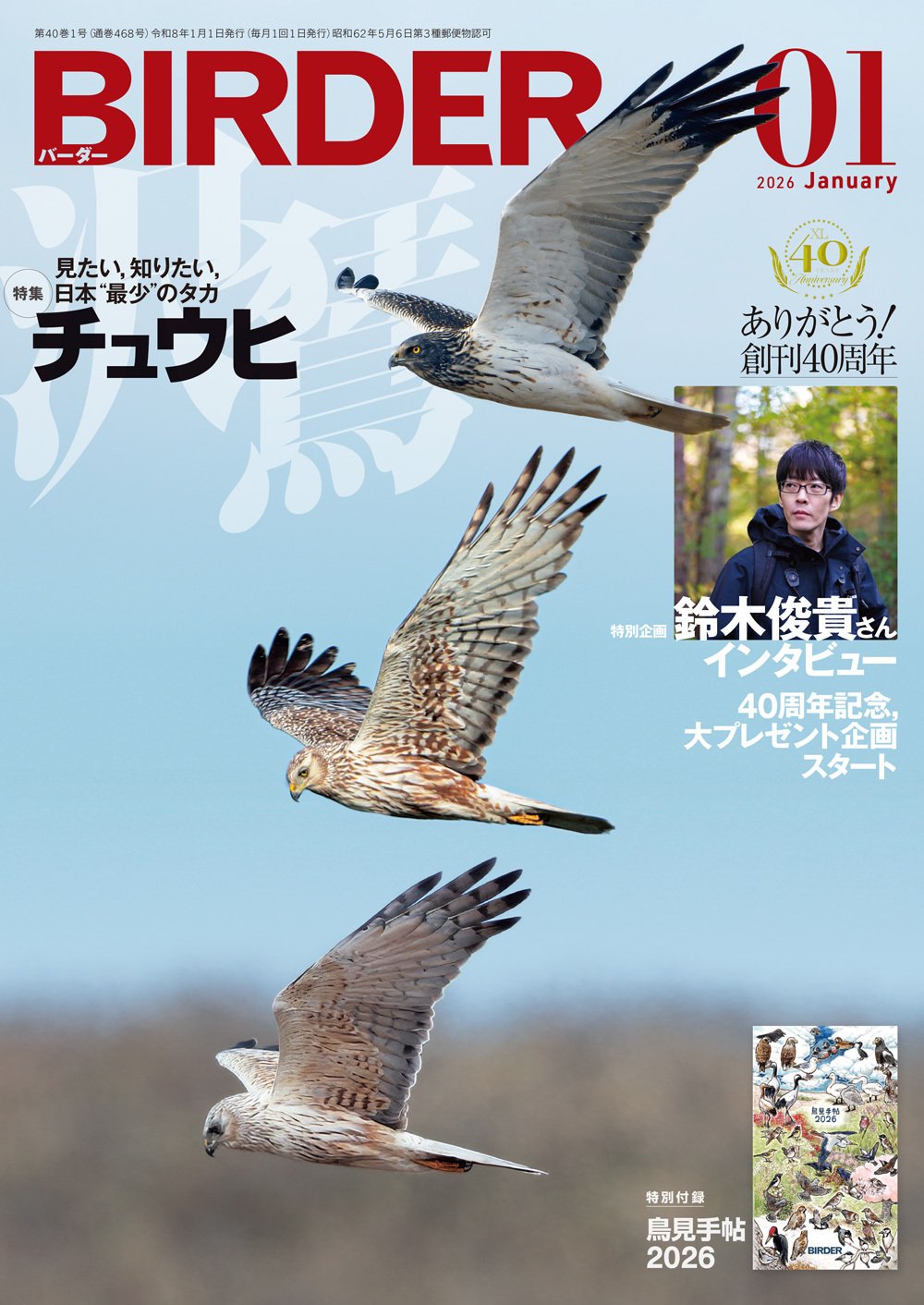 BIRDER1月号の見どころ｜ブンイチ（文一総合出版）
