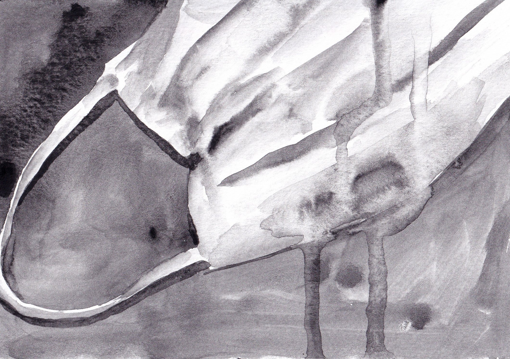 水彩絵の具の黒を使って40枚のドローイングを描いた｜Naoya Ohtani