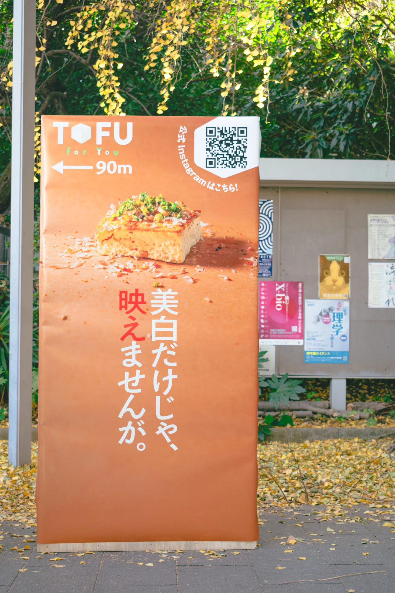デザインサークル、豆腐を売る。──2025駒場祭メイキング前編