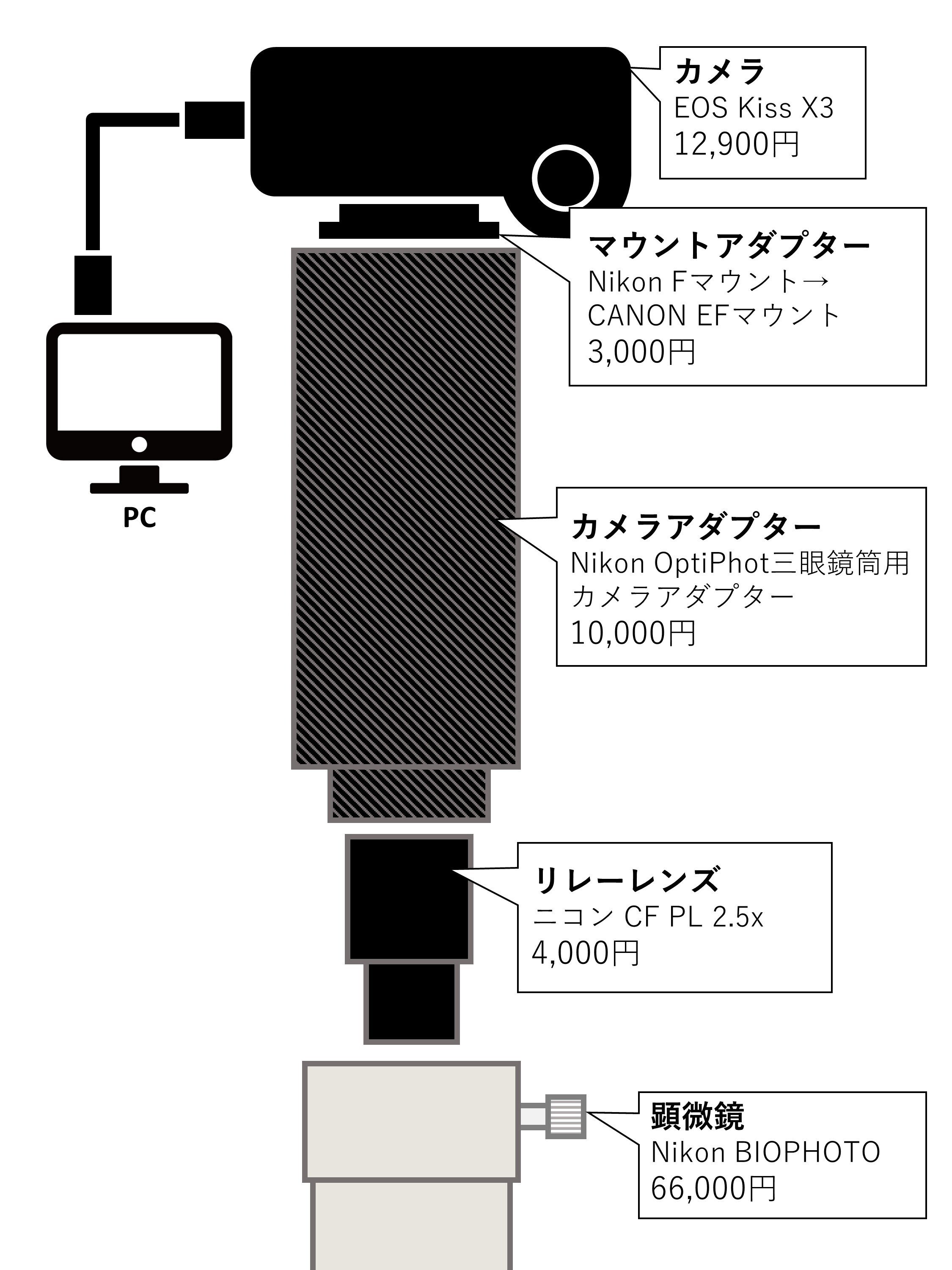 徹底解説】自宅の顕微鏡環境紹介【顕微鏡撮影】｜うるくと(Tsukuru)