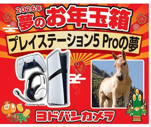 夢のお年玉箱2026 プレイステーション5 Proの夢」が当たりました！｜き