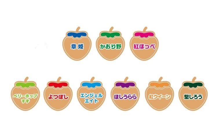 🍓 今年のやくもファームのいちごは、9品種になりました 🍓｜やくも