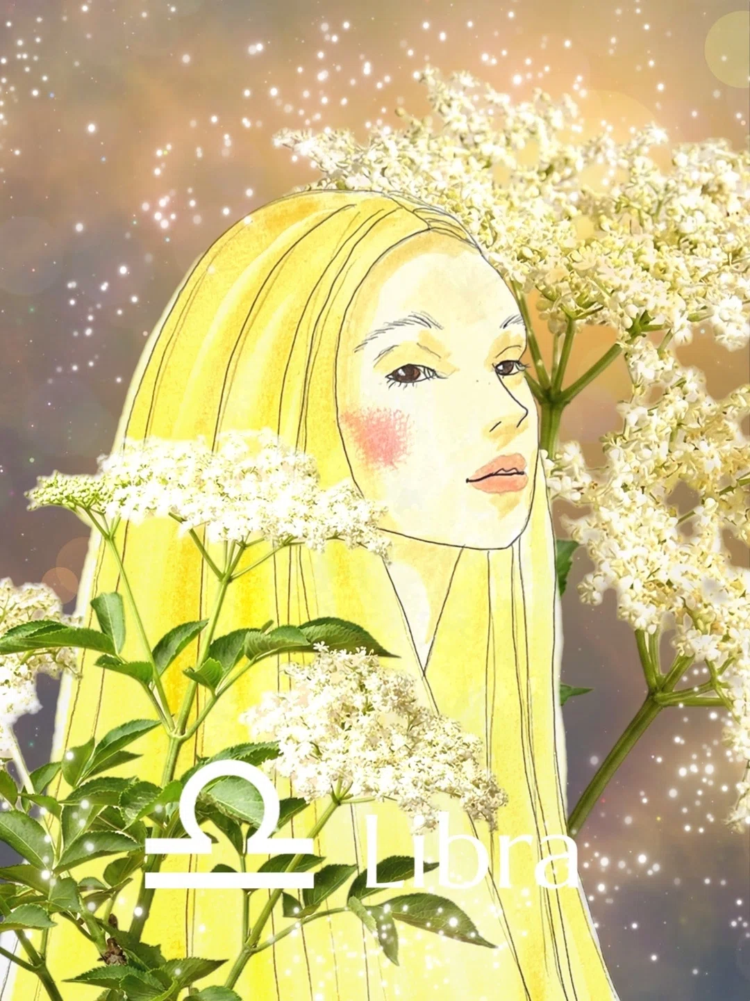 月は天秤座へ。美と愛の力を高めるハーブ・エルダーフラワー｜ANIMA