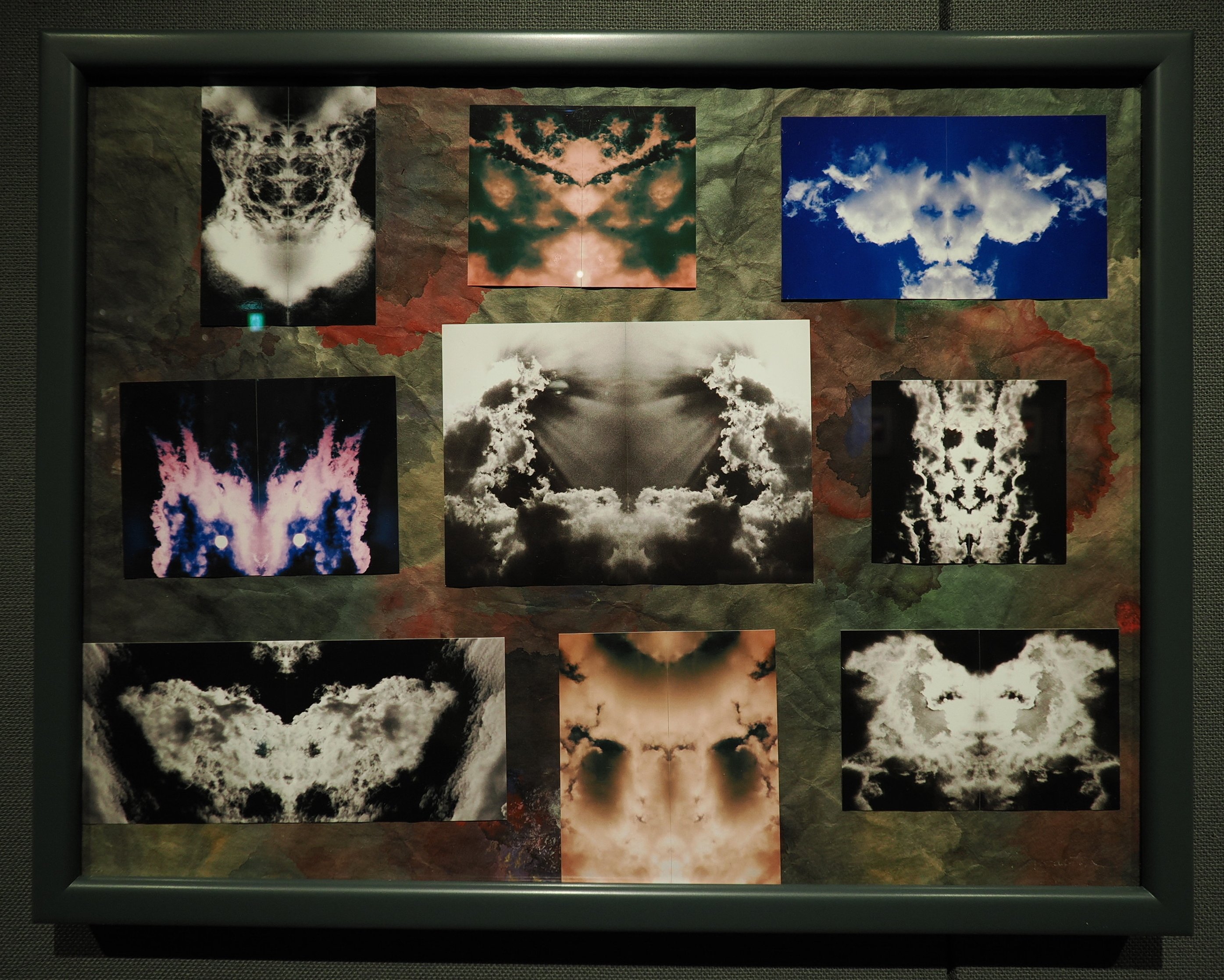 内藤忠行　写真原画　蝙蝠　オリジナル 内藤忠行 写真原画 蝙蝠 オリジナル 内藤忠行 写真原画 蝙蝠