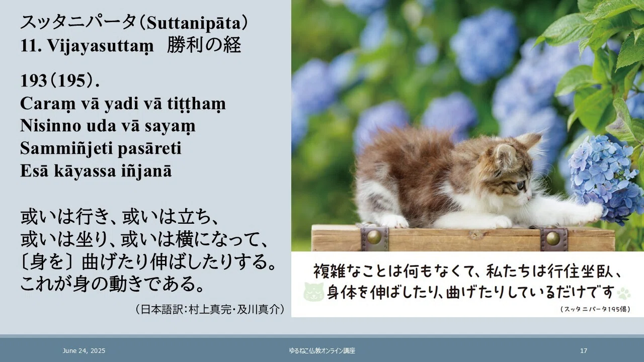 不浄観で達する「色即是空」 スッタニパータの注釈書を読む ｜ゆるねこ