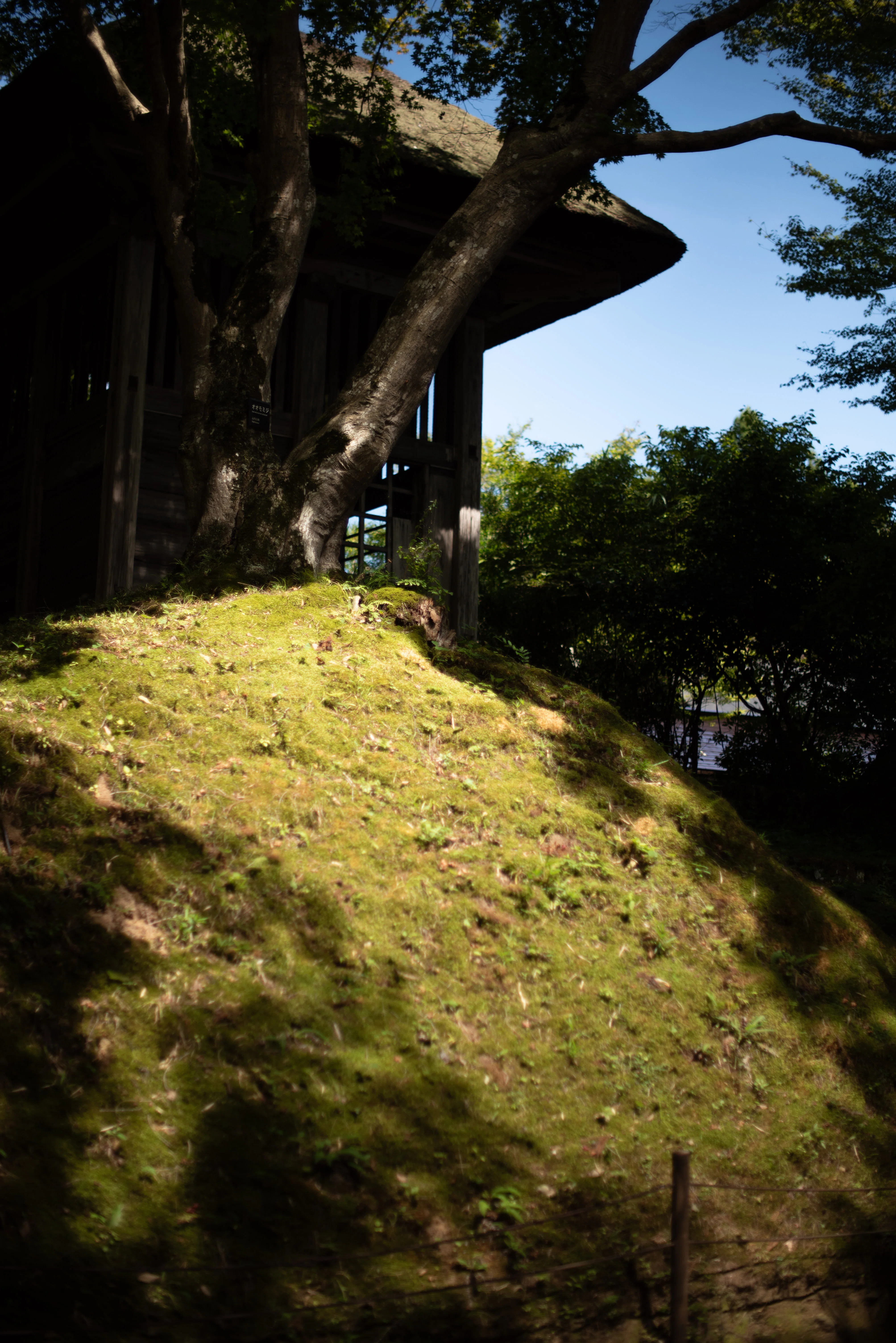 情景を演出するレンズ｜Nikon AF-S NIKKOR 50mm f/1.4 G｜作例＋レンズ