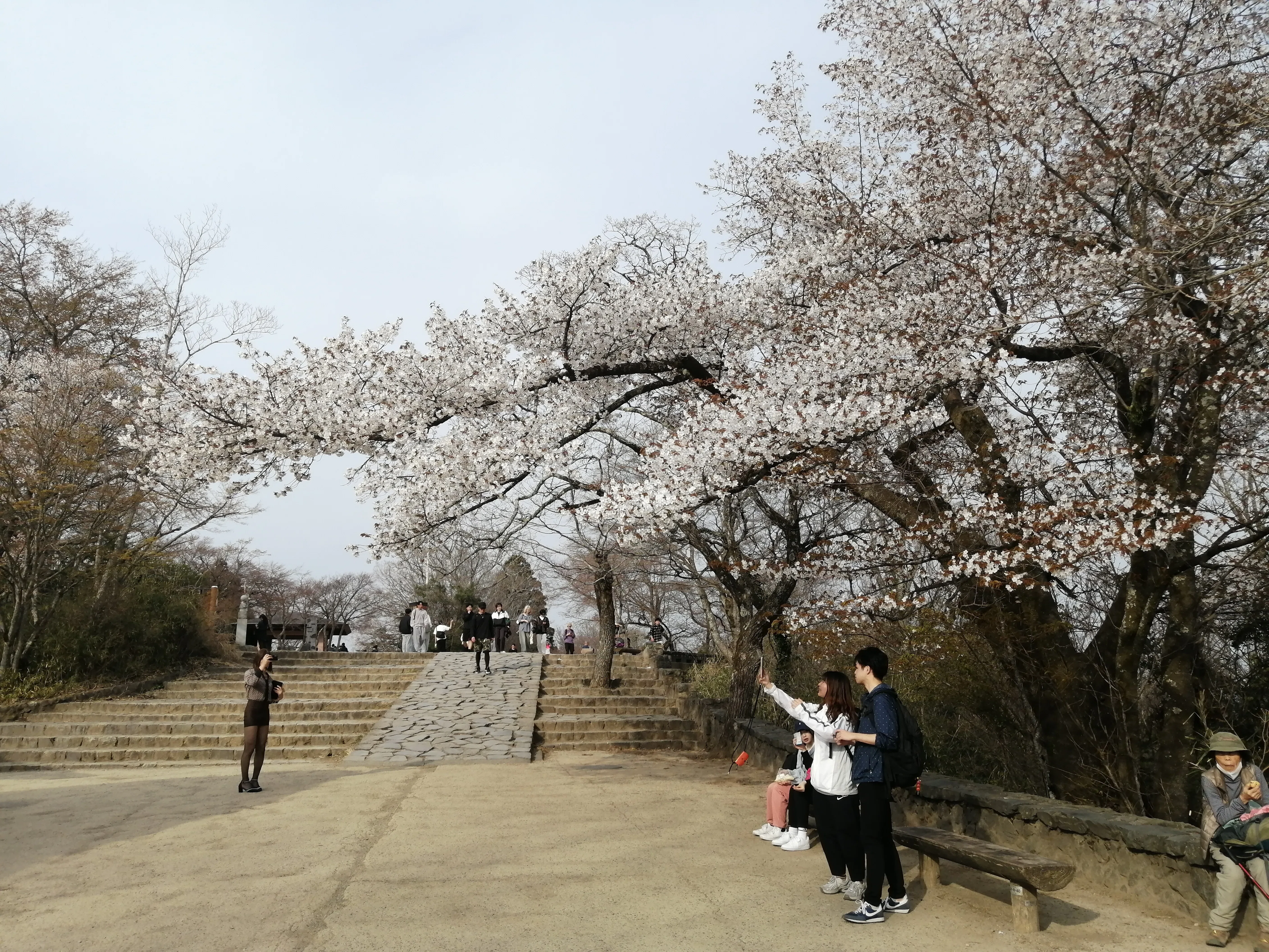 菅原神社(町田)～尾根緑道～小山内裏公園～高尾山～みんみんラーメン