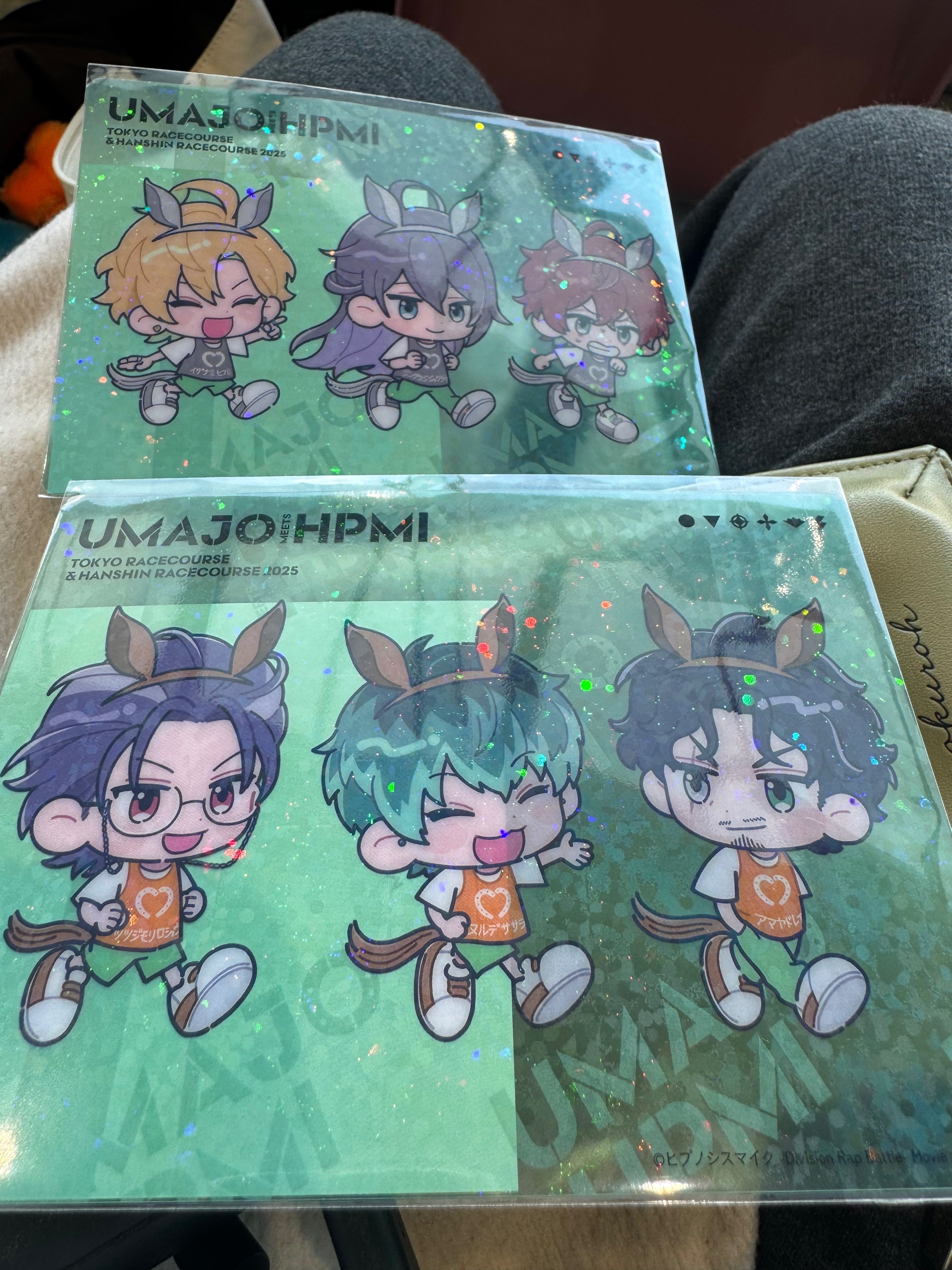 競馬初心者が初めて阪神競馬場に行った話｜チャチャ