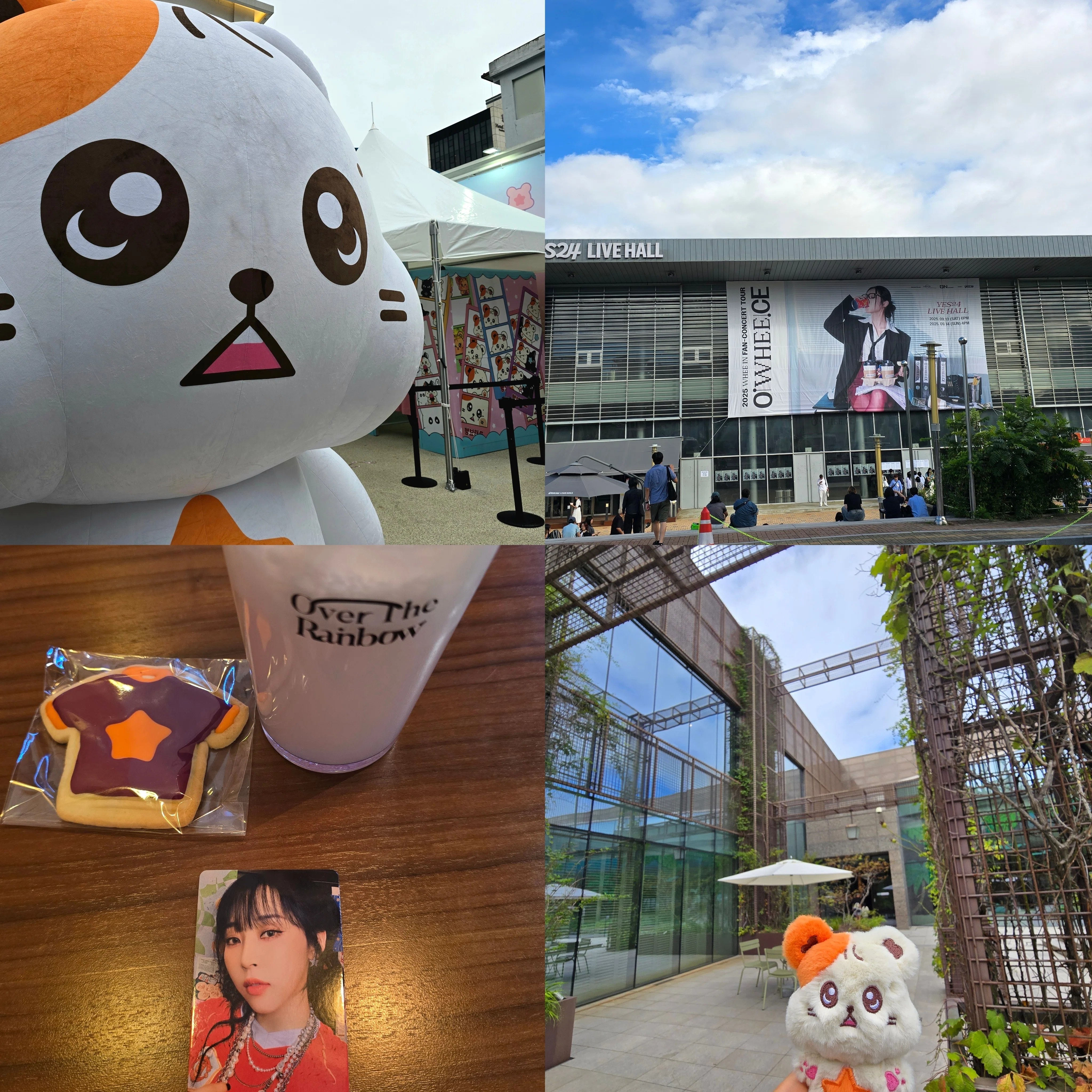タレントグッズ MAMAMOO ムンビョル ハムビョリ センイル ぬいぐるみ