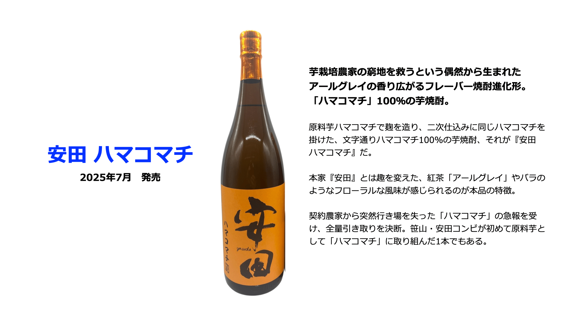 焼酎 漢字ロゴ オレンジラベル 安田ハマコマチ 安田ハマコマチ - 焼酎