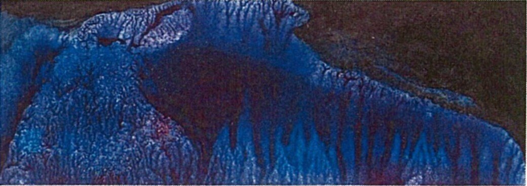 シュルレアリスムの手帖 第四回｜文学＋WEB版