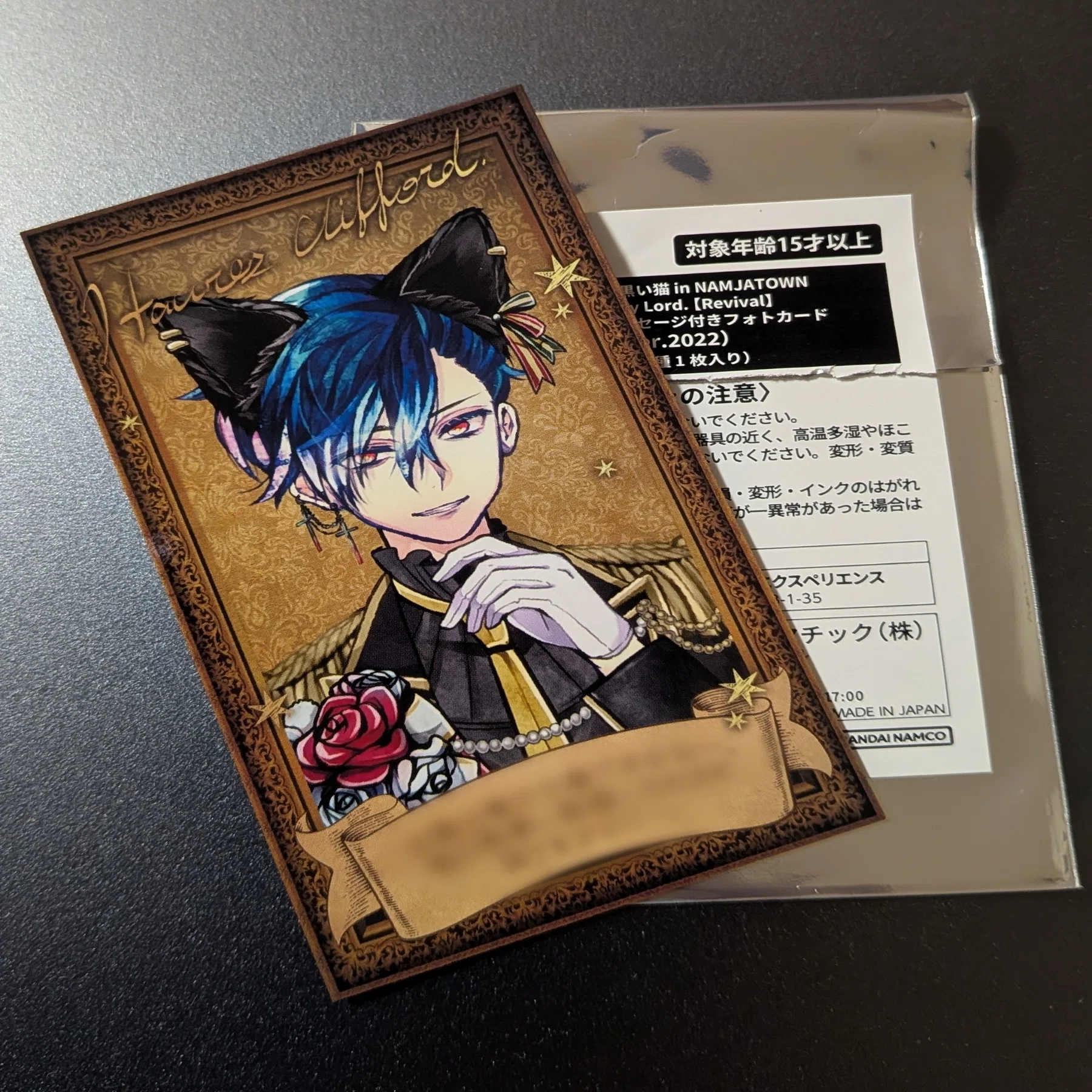 あくねこ in ナンジャタウン コラボ行ってきました【ぬい活日記 