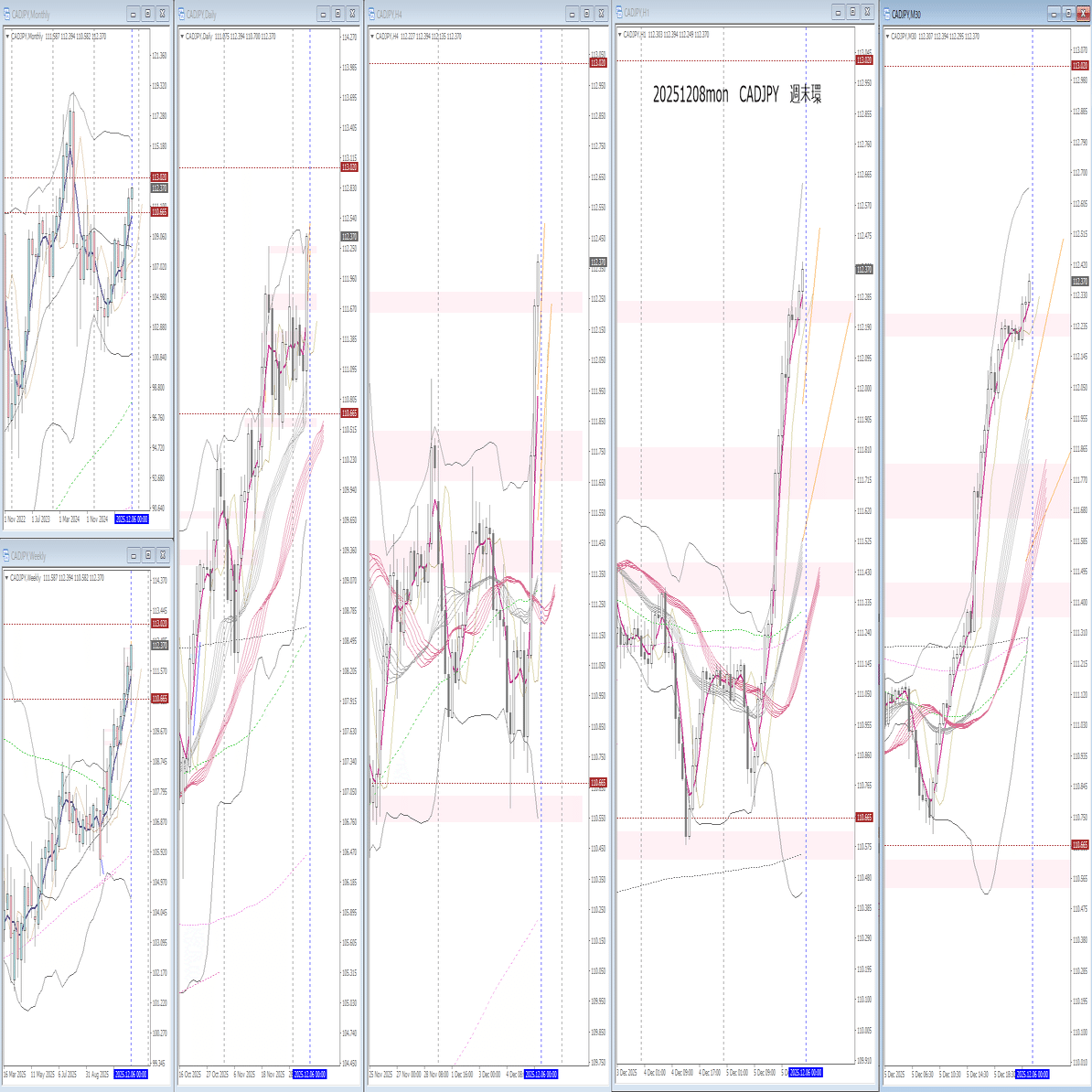 20251208-12週末振り返り｜ももりんご