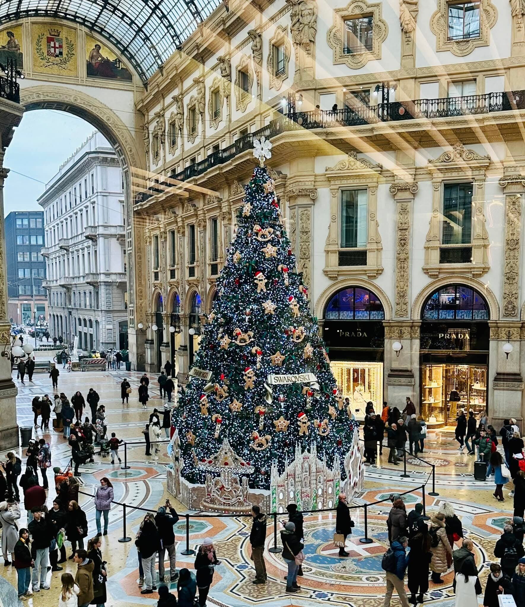 スワロフスキー　SWAROVSKI　クリスマスツリー スワロフスキーのクリスマス・ツリー」