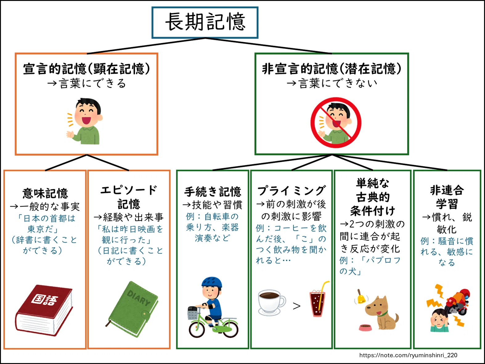 長期記憶とは？」 半永久的に保持され無限の容量を持つ記憶、その