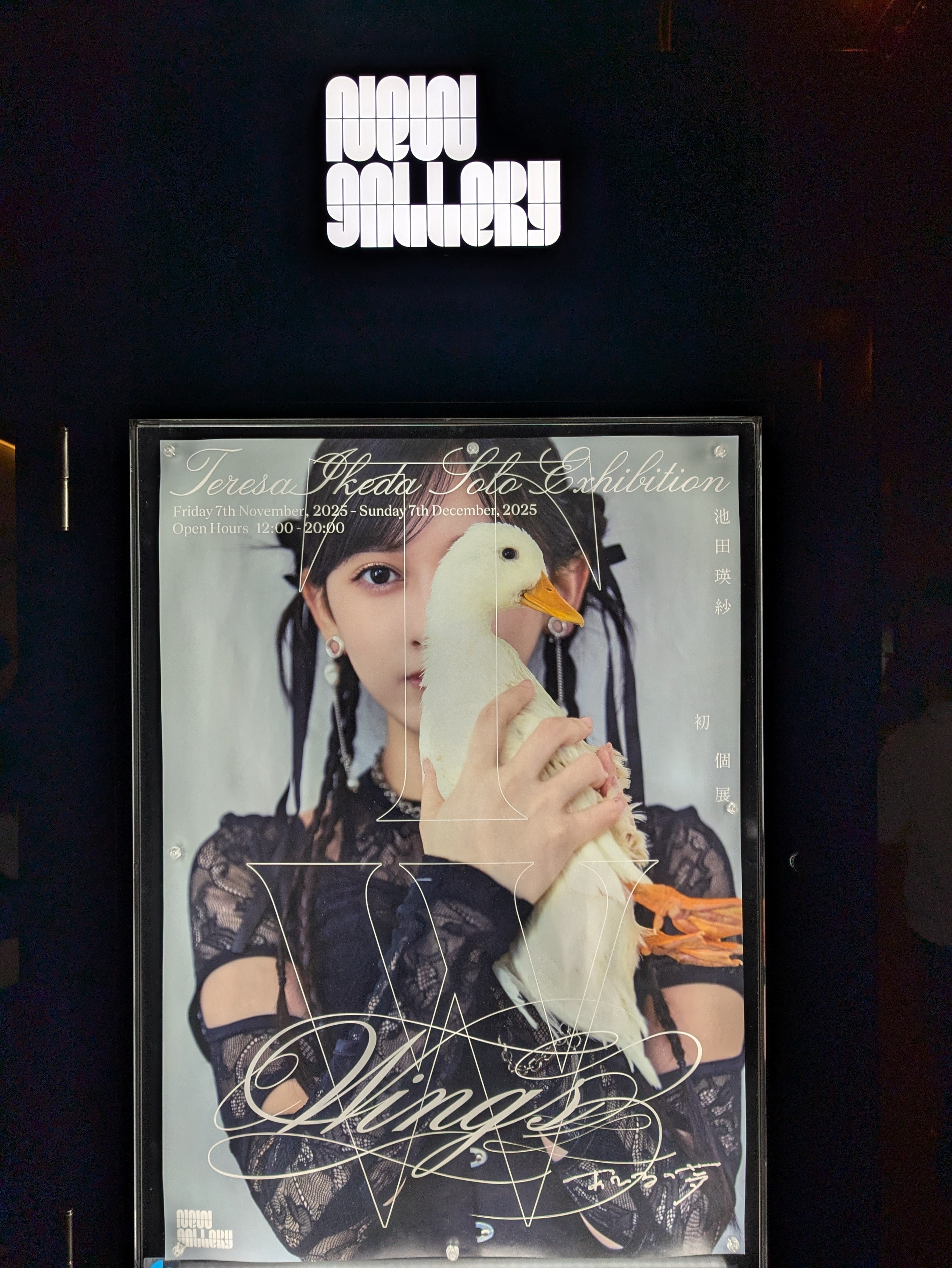 乃木坂46 池田瑛紗 あひるの夢 個展 カードセット 入場特典 ポストカード 池田瑛紗 「Wings:あひるの夢」 （New Gallery） ｜Tokyo Art Beat