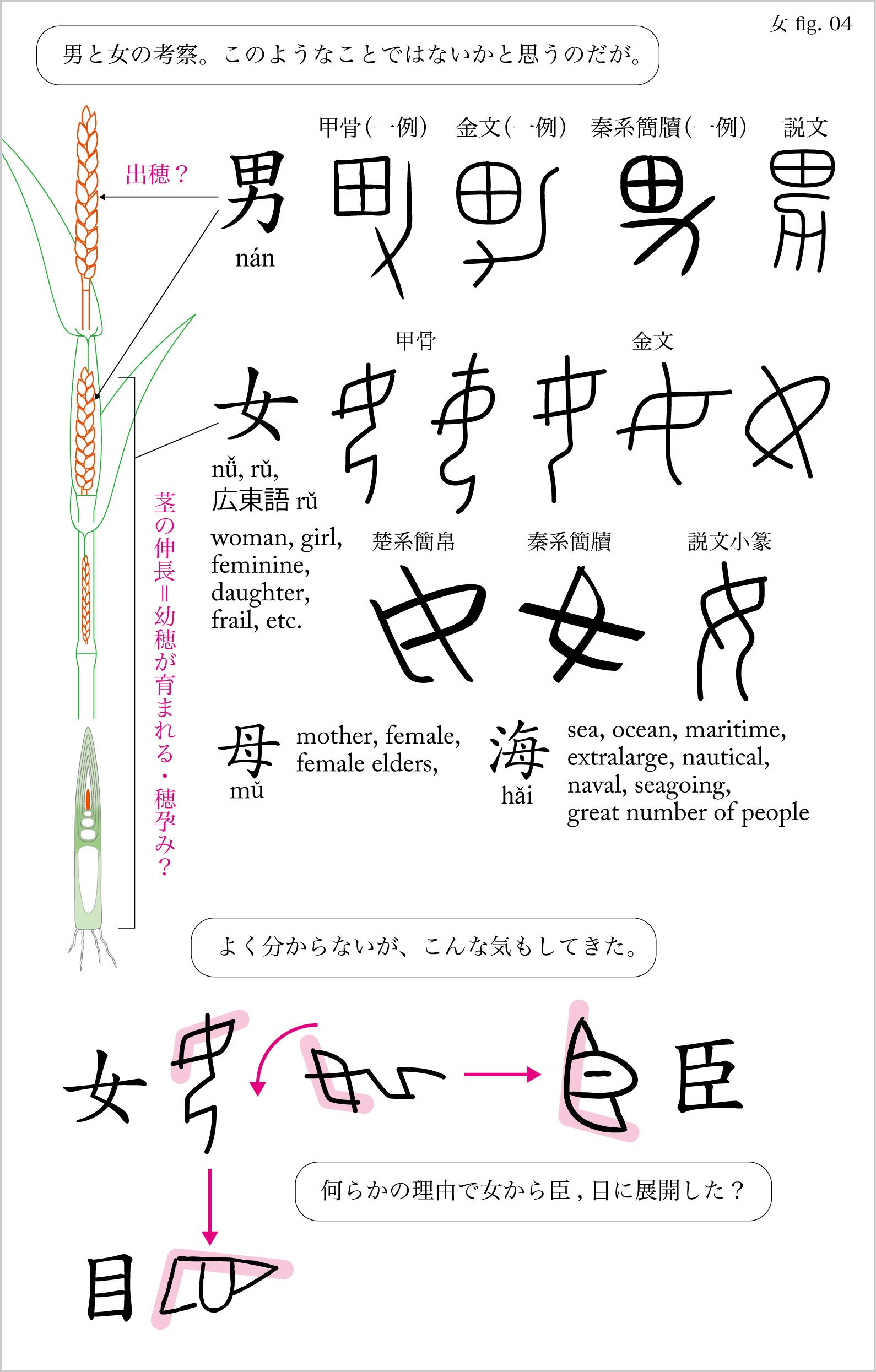 Darkenesse 迷想05 女｜Antonio