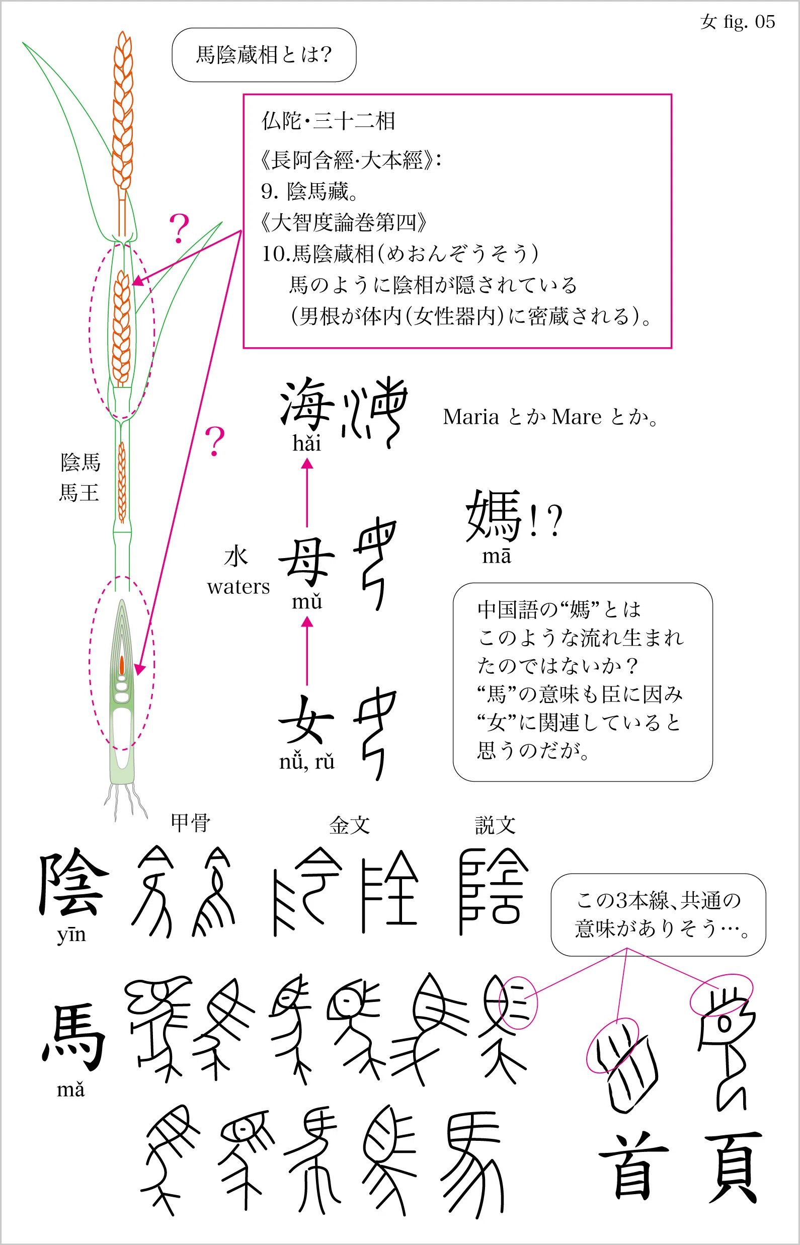 Darkenesse 迷想05 女｜Antonio