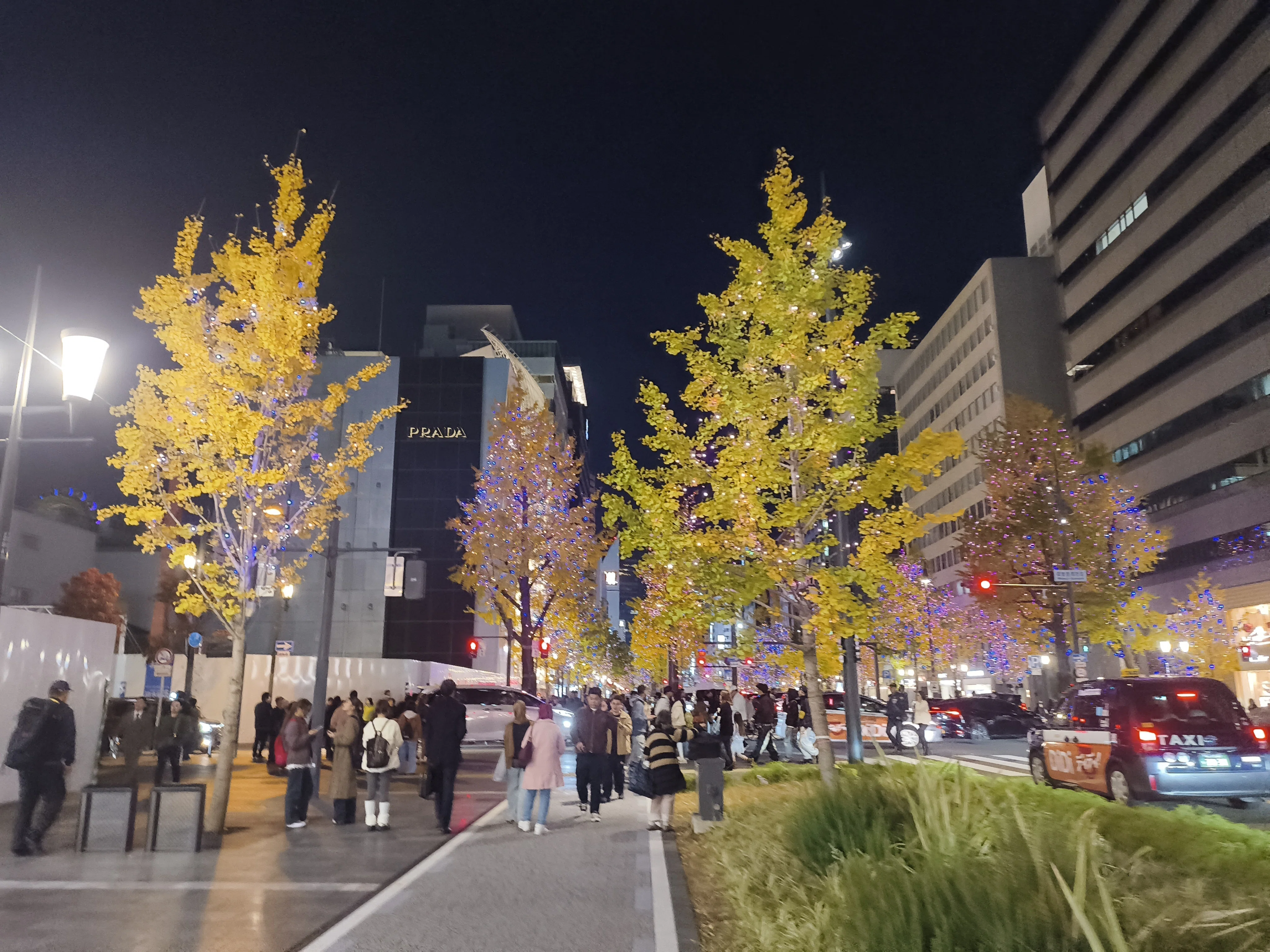 御堂筋イルミネーション2025｜大阪・光の饗宴2025｜現実と幻術をつなぐ扉