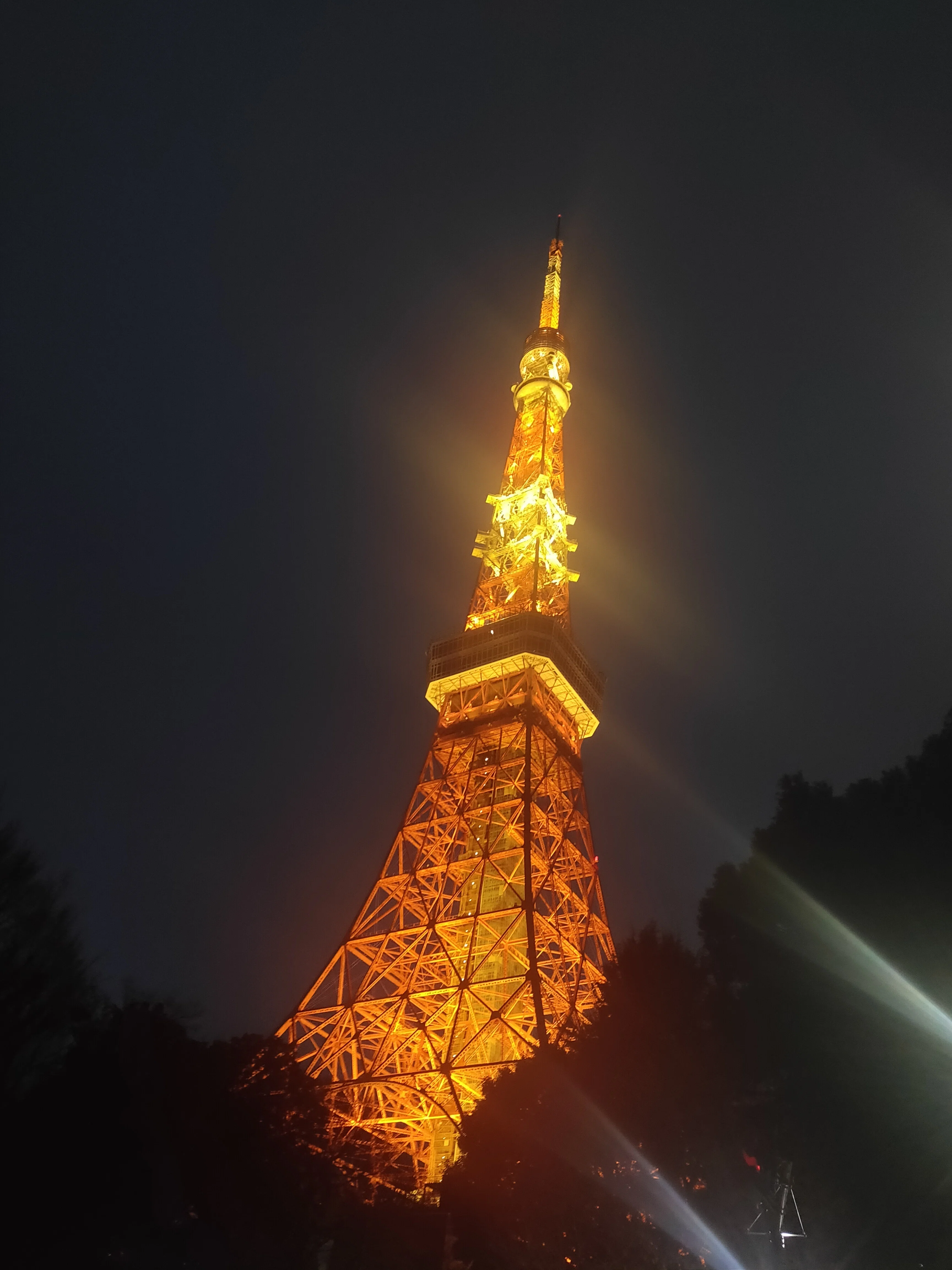 Re.　クリスマス限定フーディ(再値下げしました) 2025年クリスマスコフレ】シュウ ウエムラ：「ファイナルファンタジー