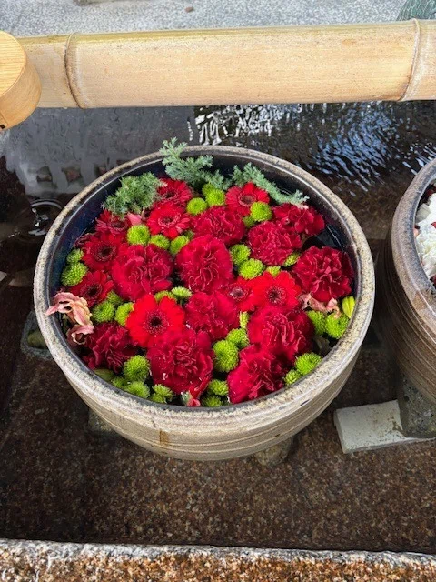 津島神社様へ花手水のお花を納品｜花屋｜Flower｜花｜ビジネス｜挑戦
