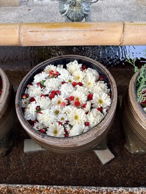 津島神社様へ花手水のお花を納品｜花屋｜Flower｜花｜ビジネス｜挑戦