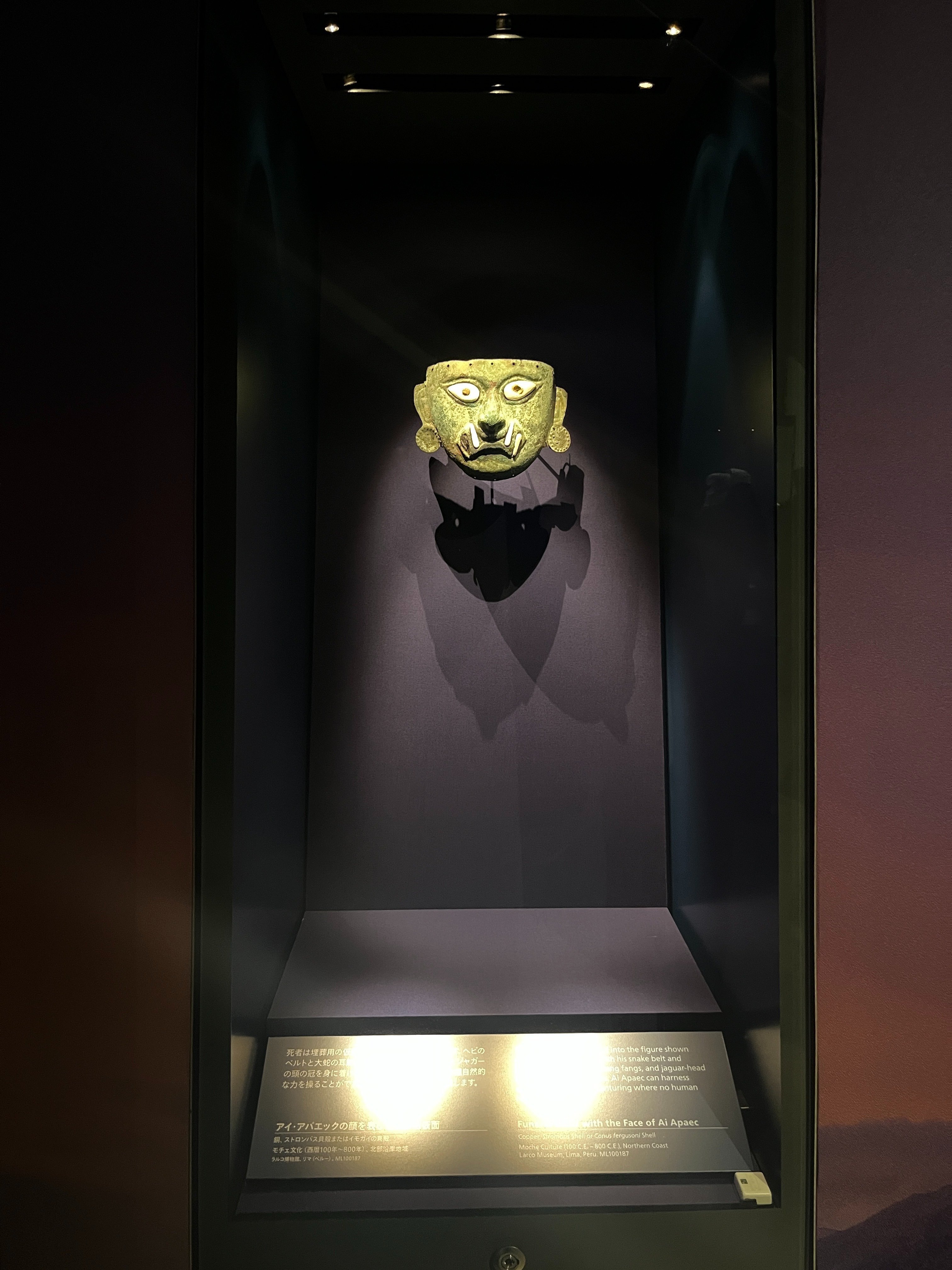 第2章｜六本木の天空で出会ったアンデス世界——マチュピチュ展“ただの