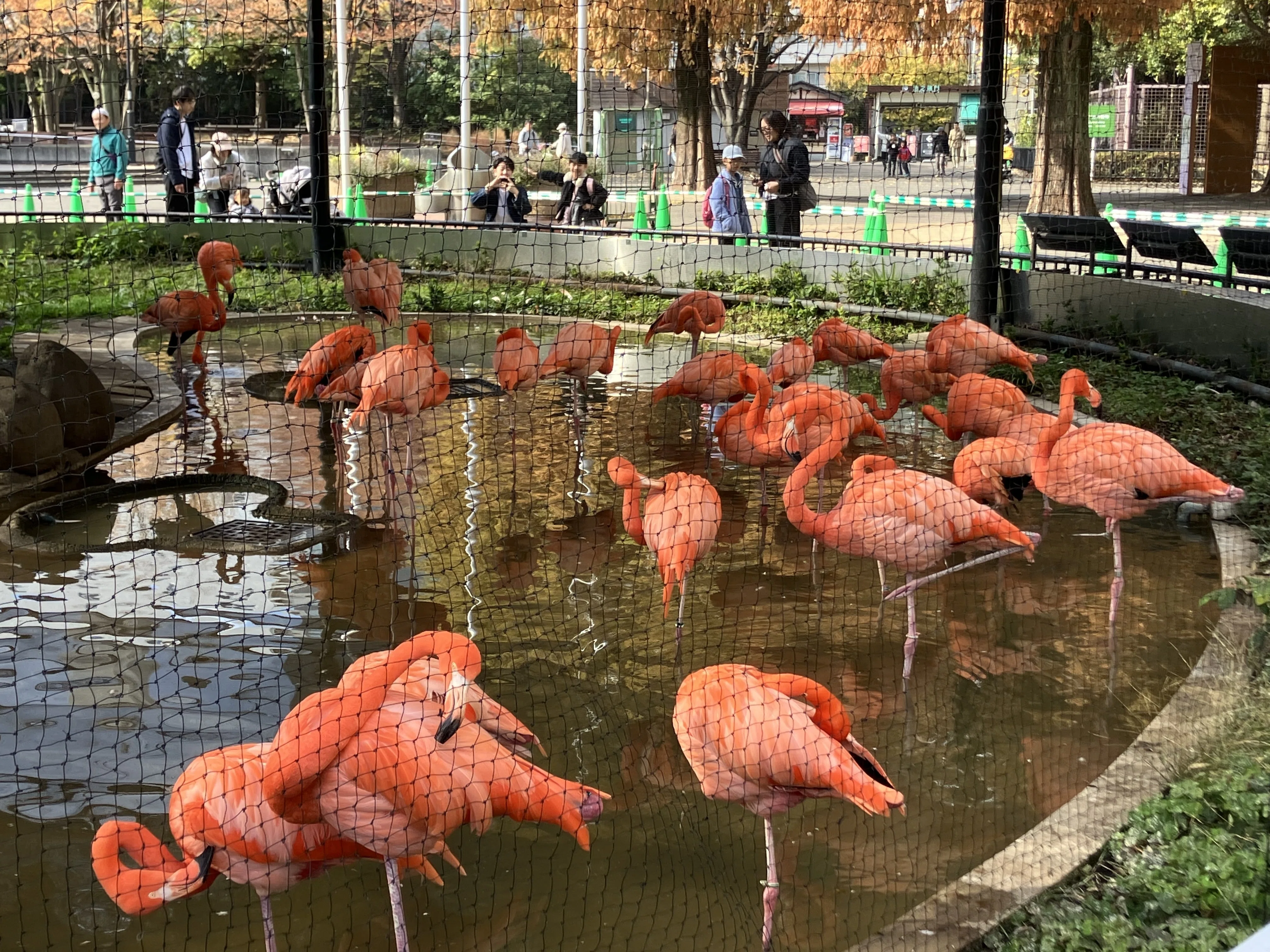 体験談】上野動物園｜三連休・子連れでパンダを見るなら「9時には並ぶ