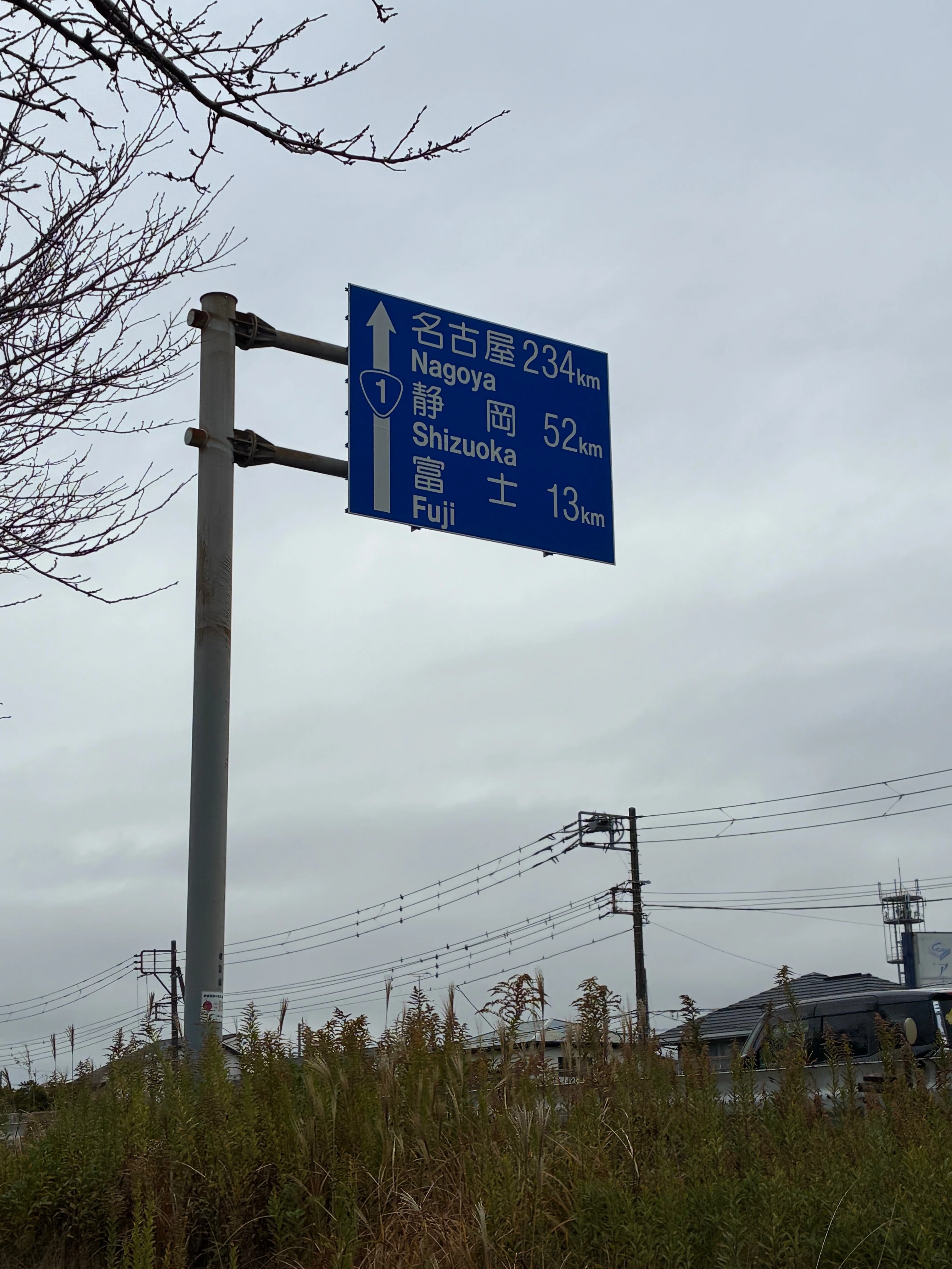 国道をお散歩中のカニが居ただけの日。【Day5 沼津→富士 20km徒歩