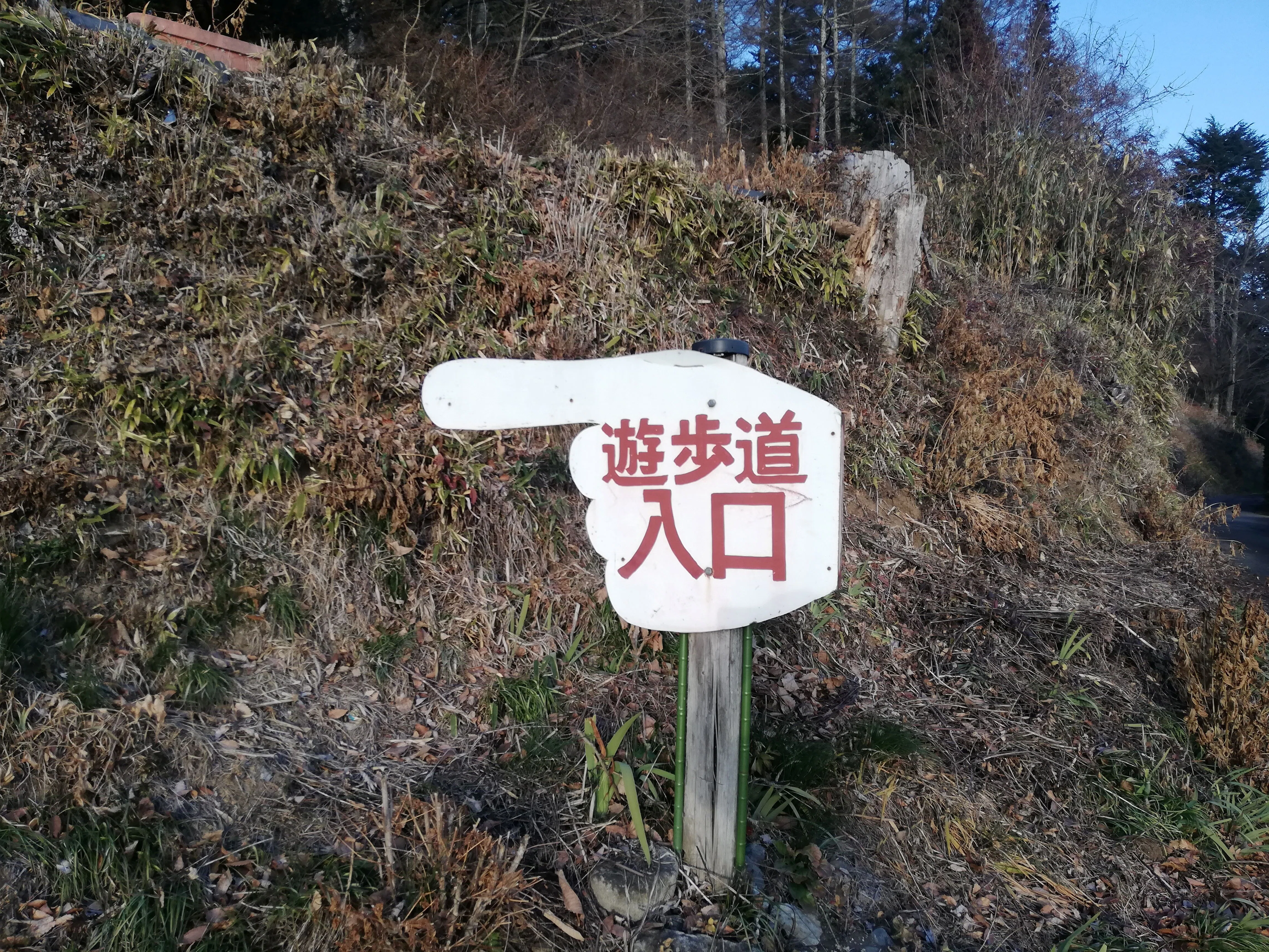 Revenge Mountain Pass Walk Under the December Sun (2)｜ごあ（宇宙