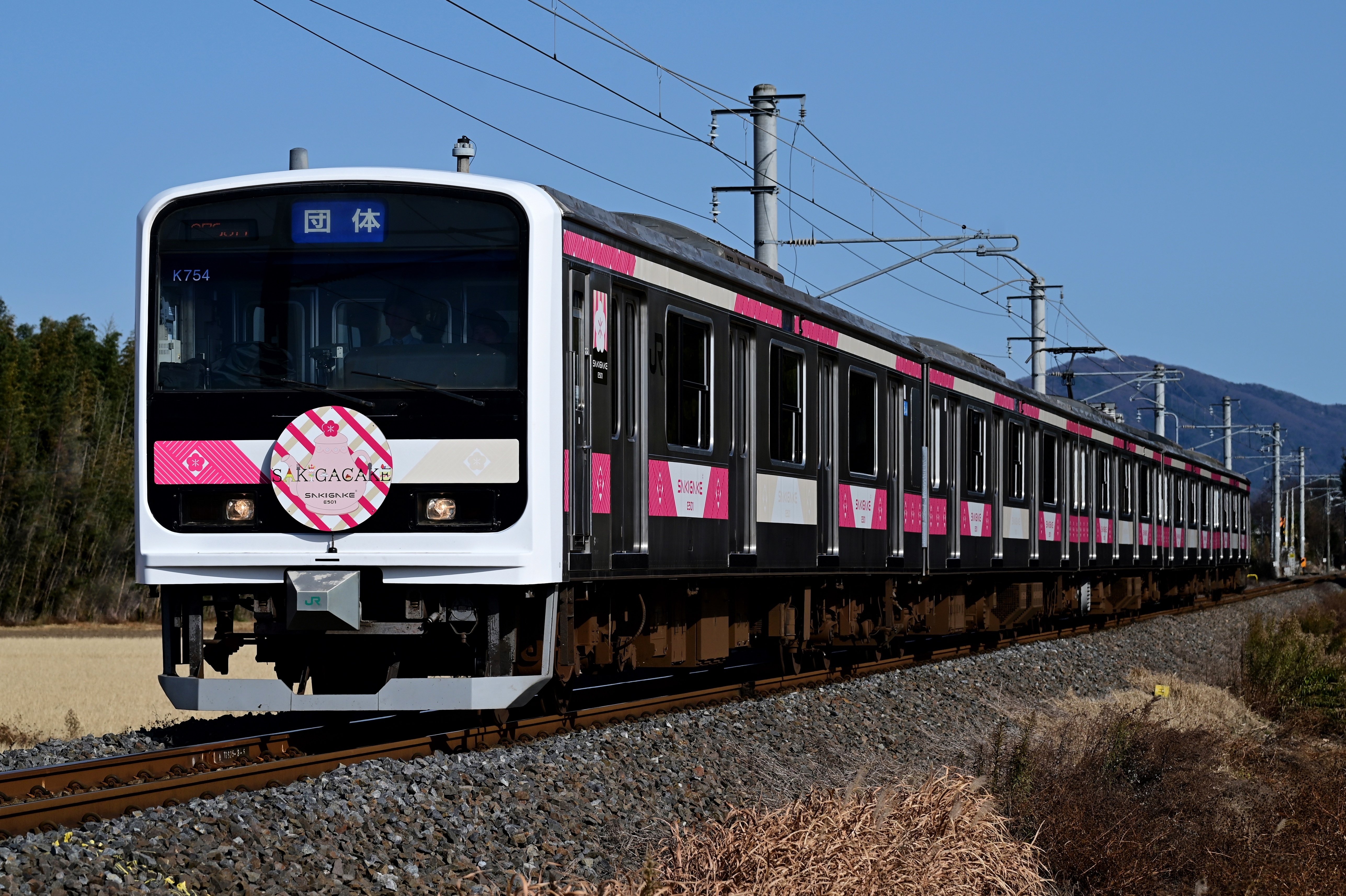 E501系「SAKIGAKE」を撮りに茨城へ｜りょう