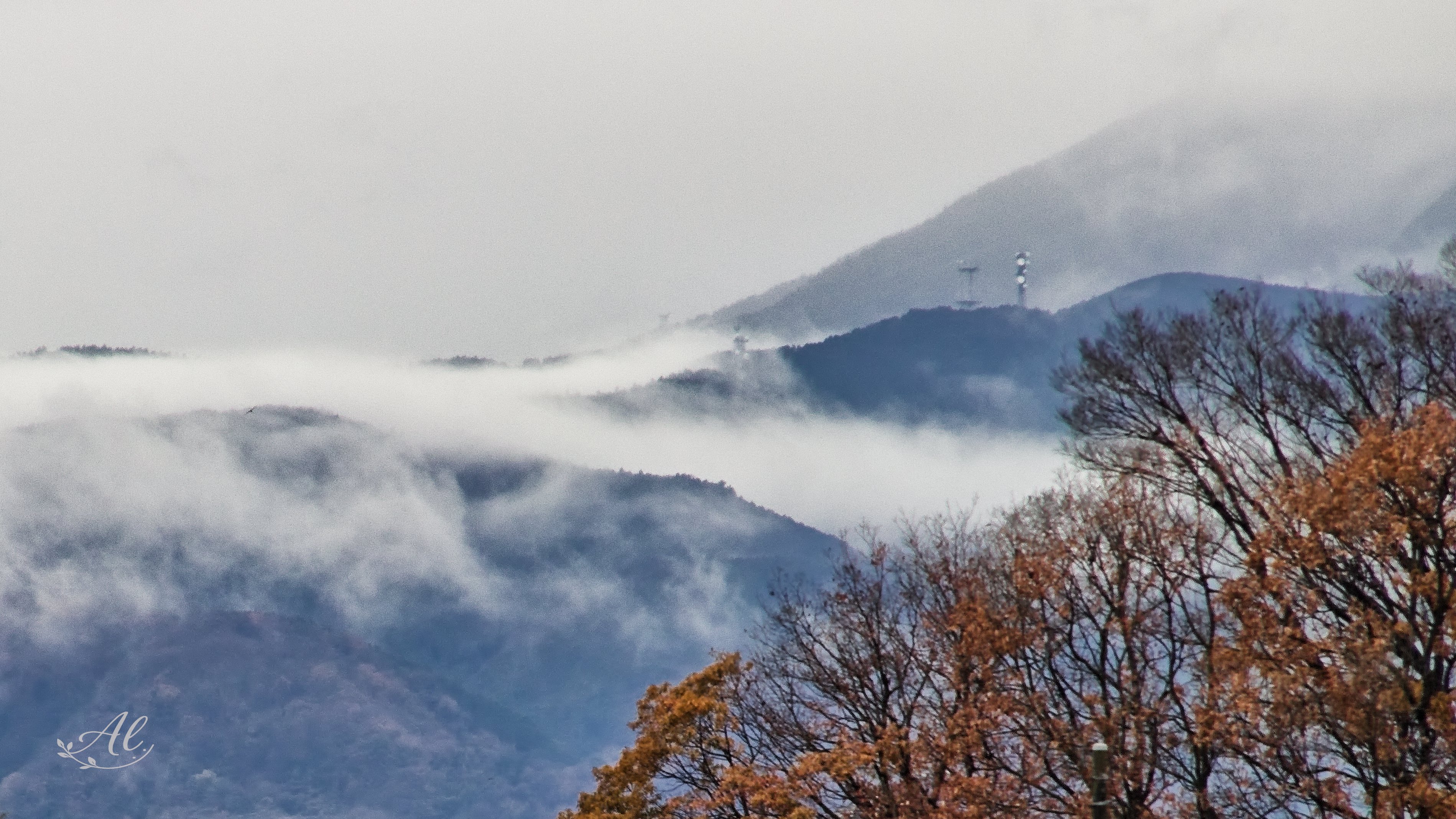 雨上がり 雨上がり｜アル