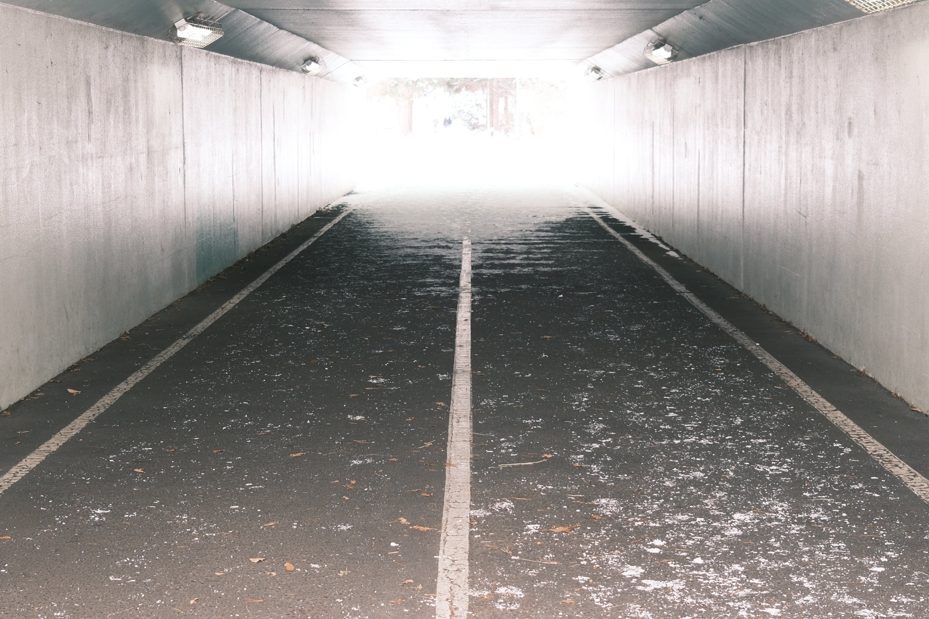 XF23mmF2.8 R WR 実写レビュー｜気負わず持ち出せる23mmという選択｜No.54