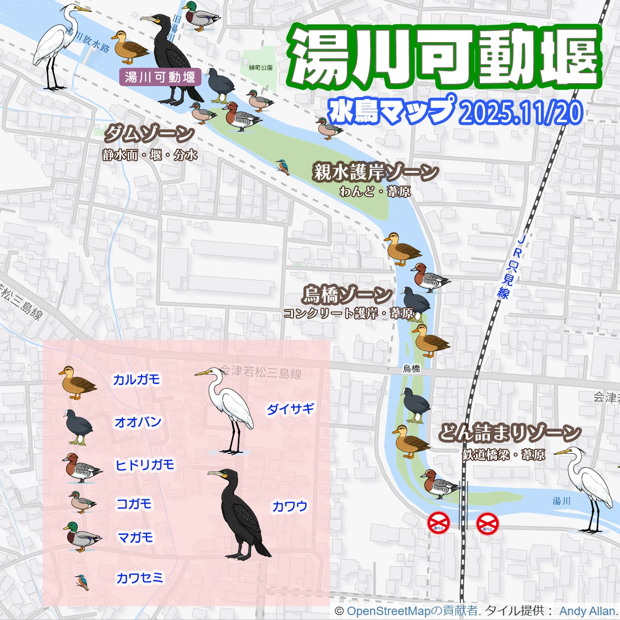 湯川可動堰 -会津若松の「まちなか」に出現した水鳥達の秘密基地