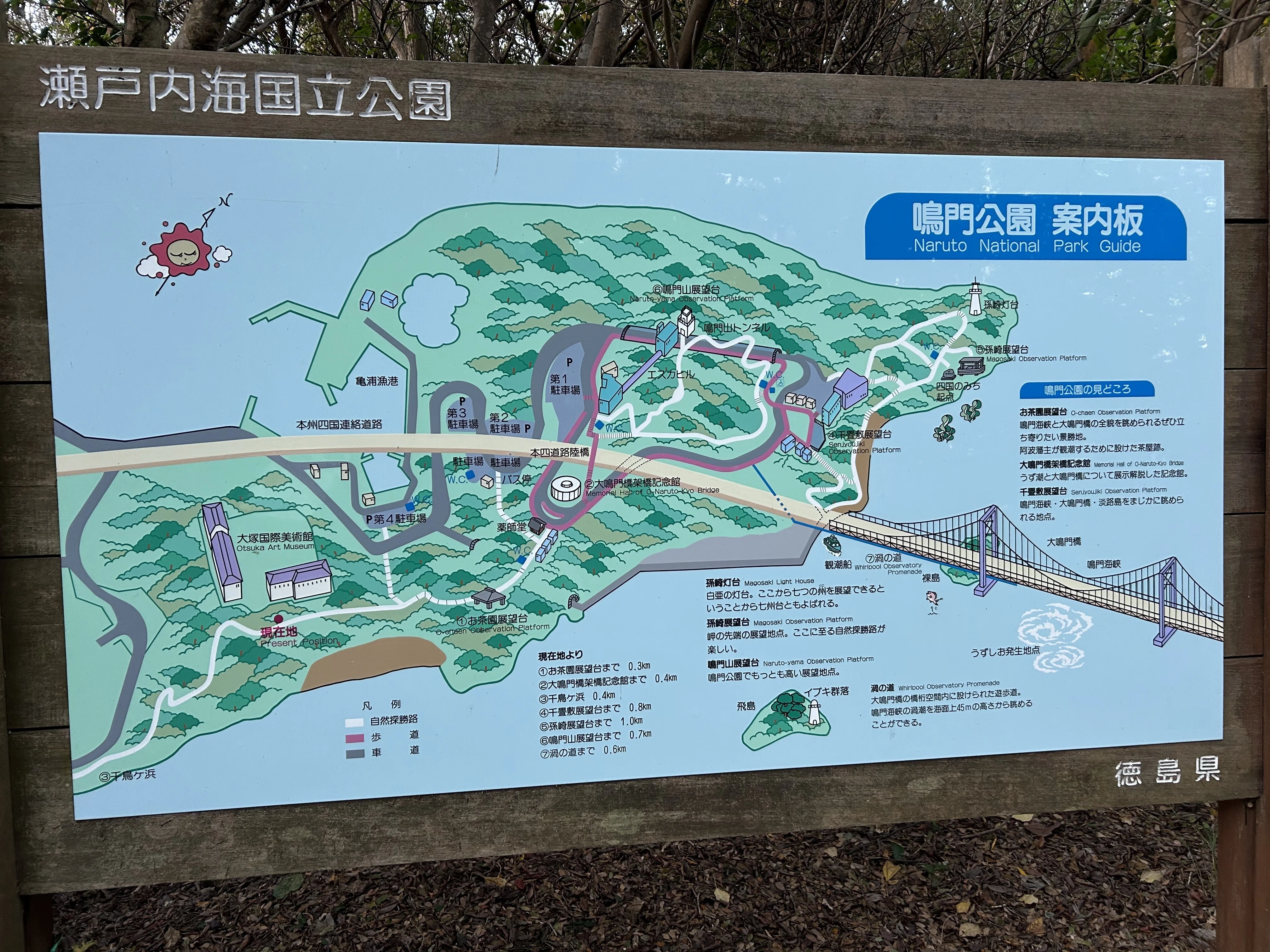 千鳥ケ浜【徳島県】|Tomo - Tomarigi 千鳥ケ浜【徳島県】|Tomo - Tomarigi