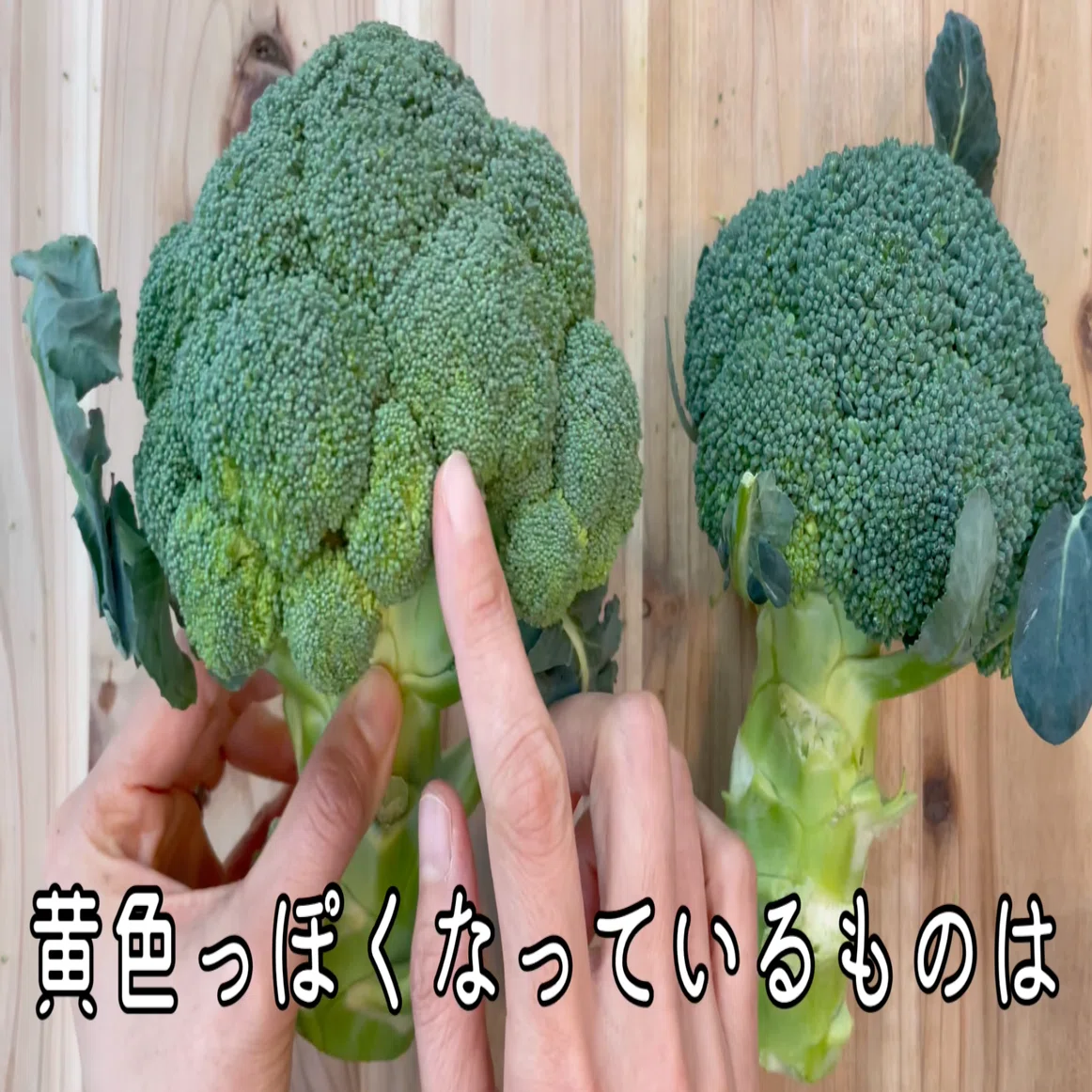 ブロッコリーの選び方｜美味しさが一目でわかる！新鮮な株を見分ける3