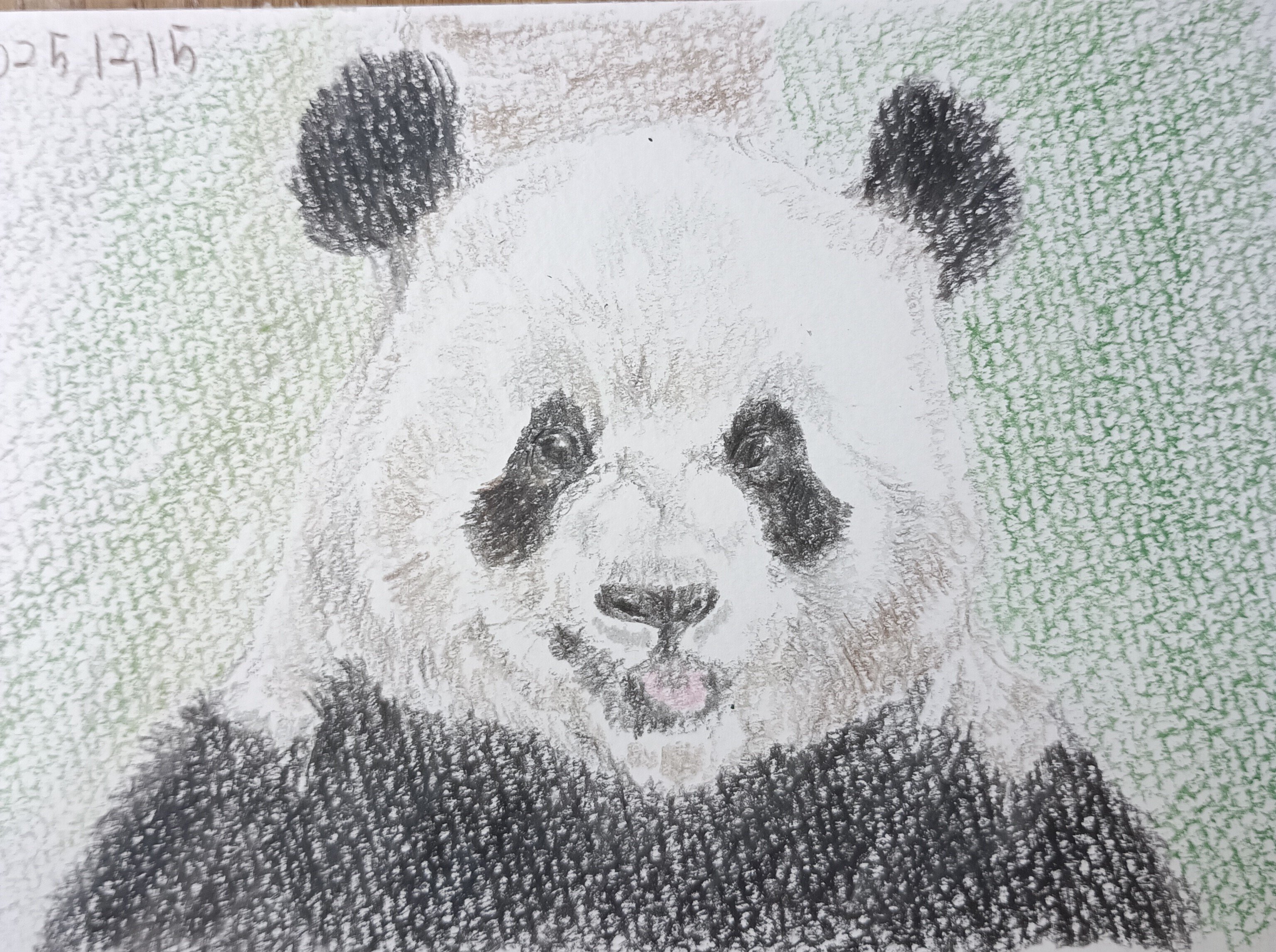 またパンダが日本に来ることを願って｜こひろ@こぎん刺しのテディベア