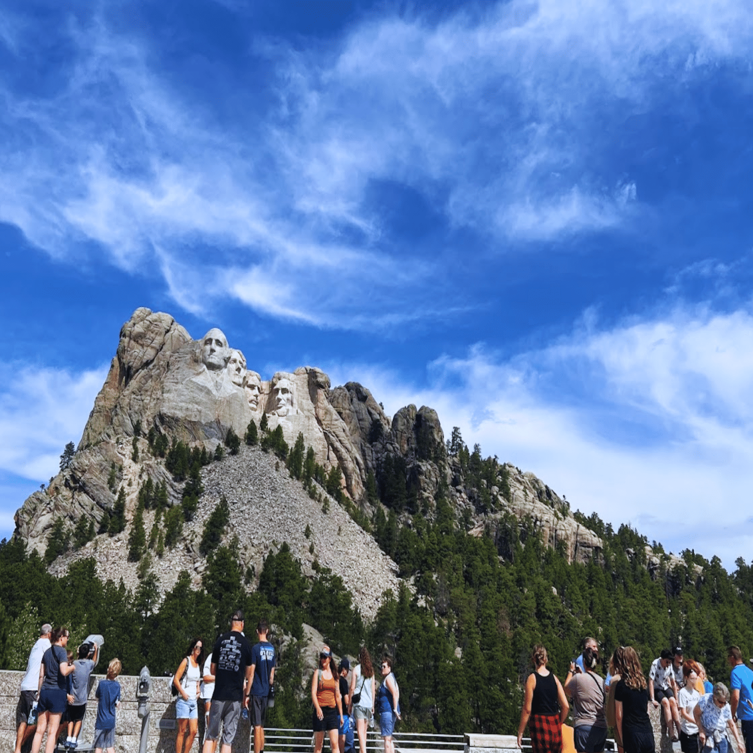 山採り 蝦夷松 スリクソン ZXi4 アイアン Diamana ZXi for IRON カーボンシャフト