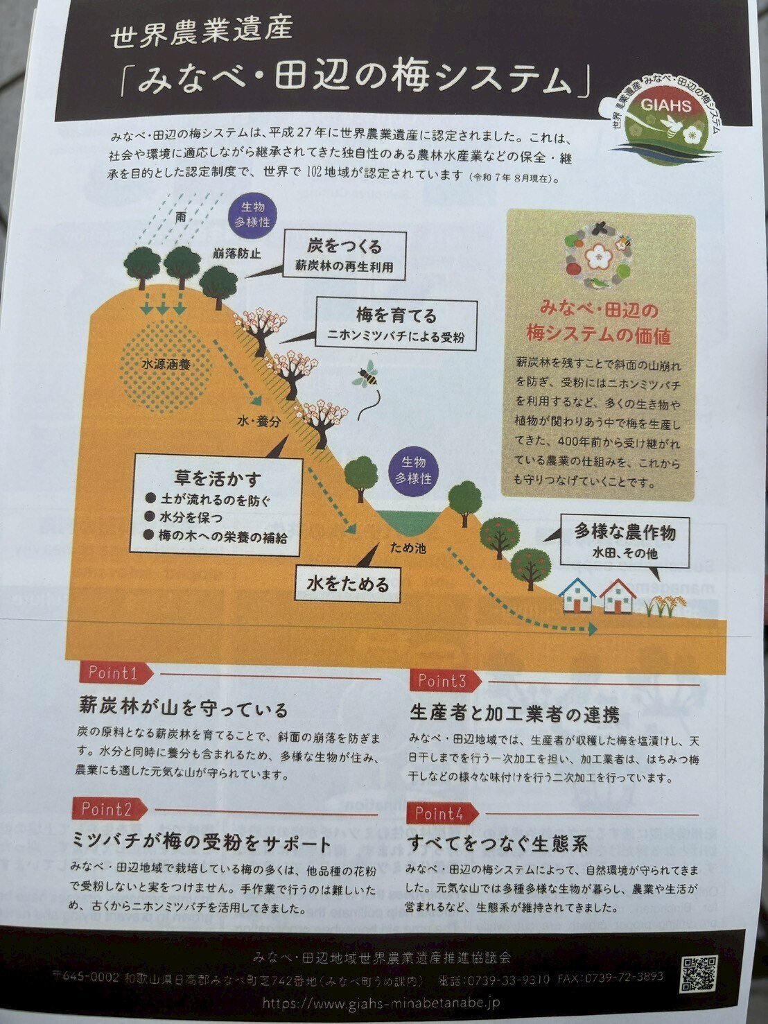 和歌山県みなべ町の梅システムの中で生きる人々（やっぱり自然における