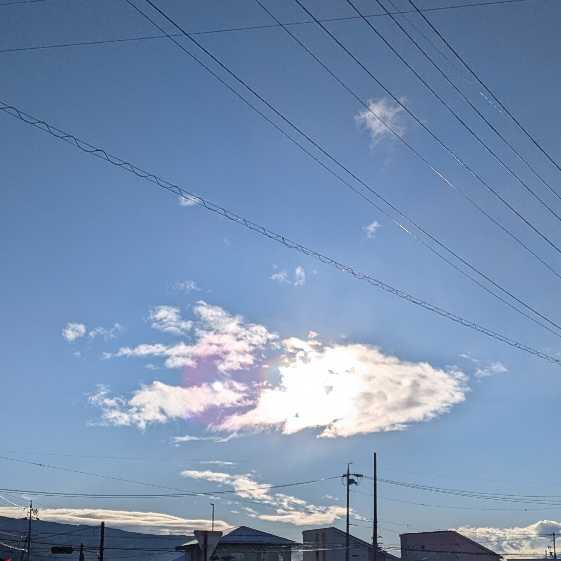 今朝のソラ｜橙色のソラくじら