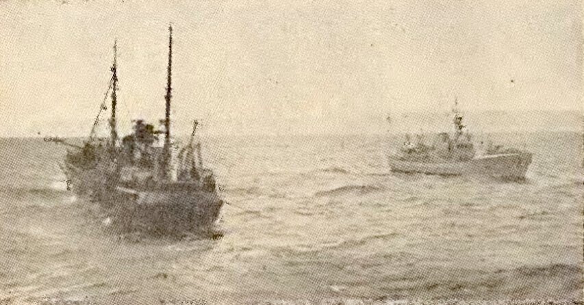 英国・アイスランド漁業紛争 : タラ戦争 タラ戦争：イギリスとアイスランドの漁業紛争｜尾登雄平（世界史