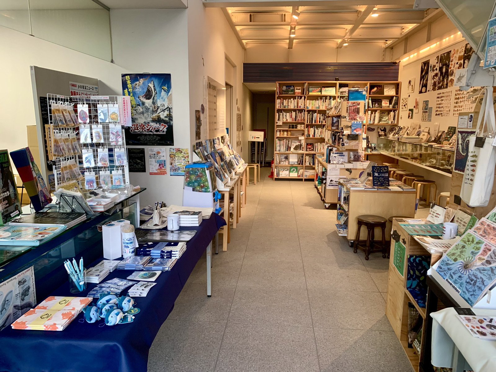 第7回サカナの写真を見せびらかす会🐟 開催！【12/27(土) 17:30