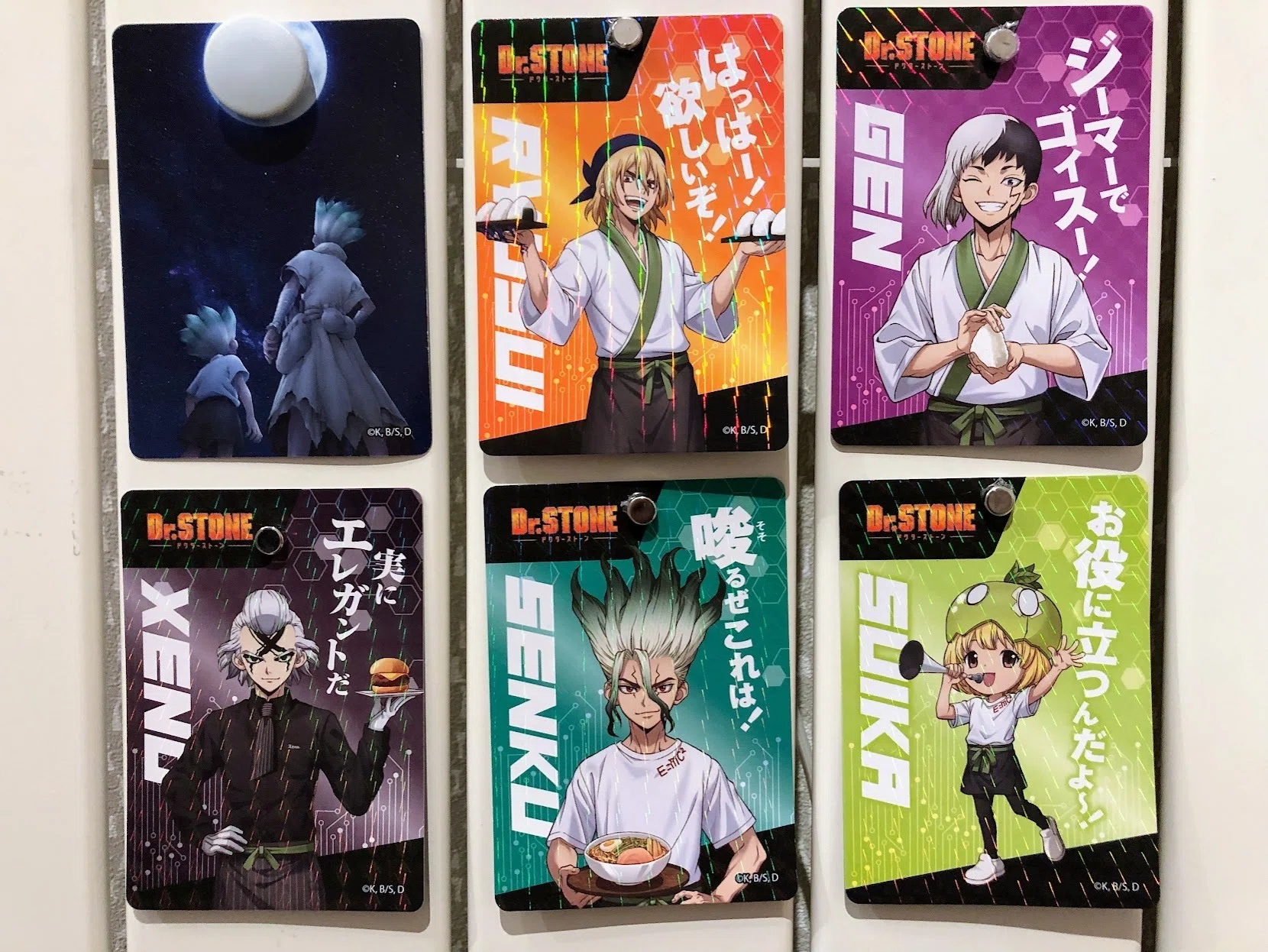 Dr.STONE まとめ売り Dr.STONE Journey of Growth ver. | トムスショップ