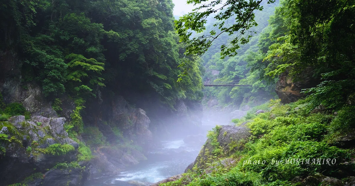 霧の渓谷