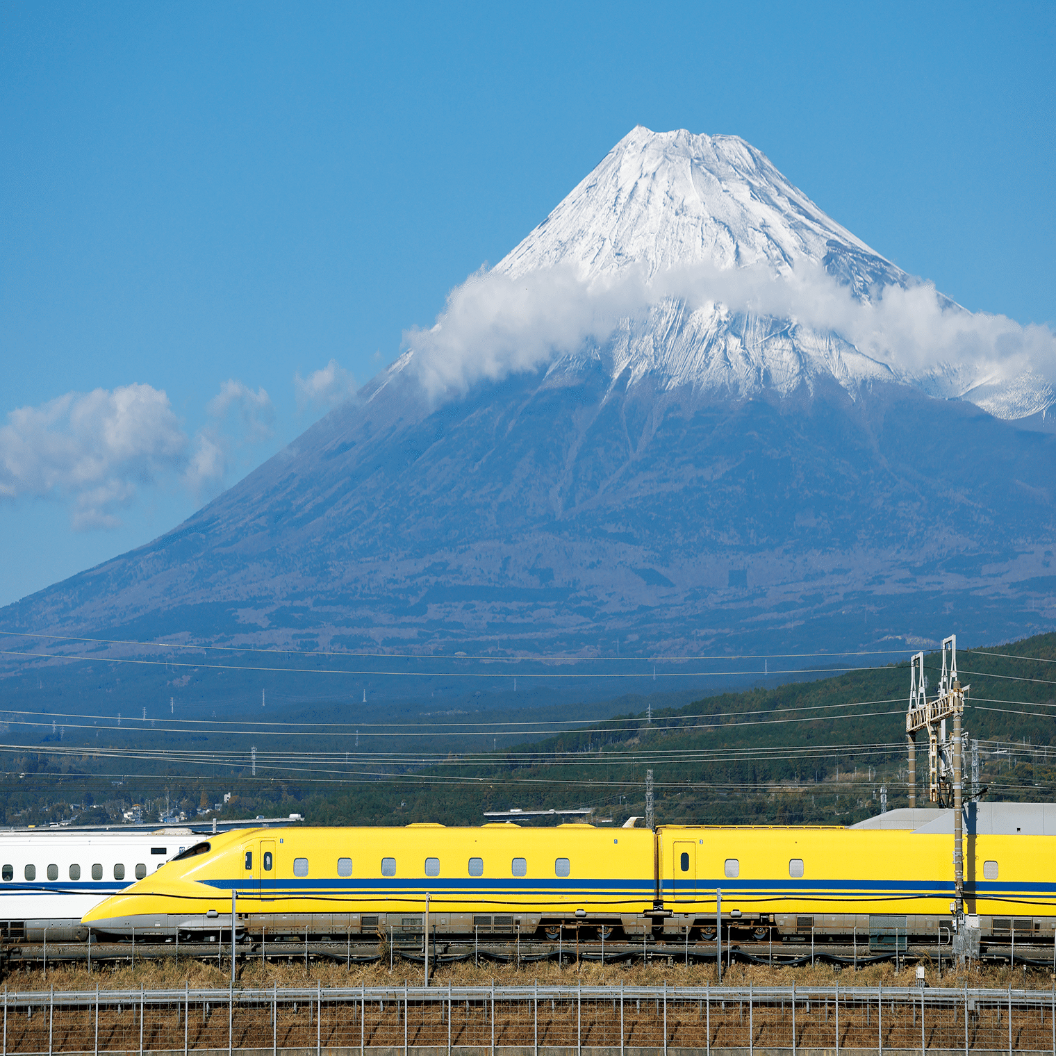 座談会］私たちもドクターイエローを愛しているんです｜幸せの黄色い