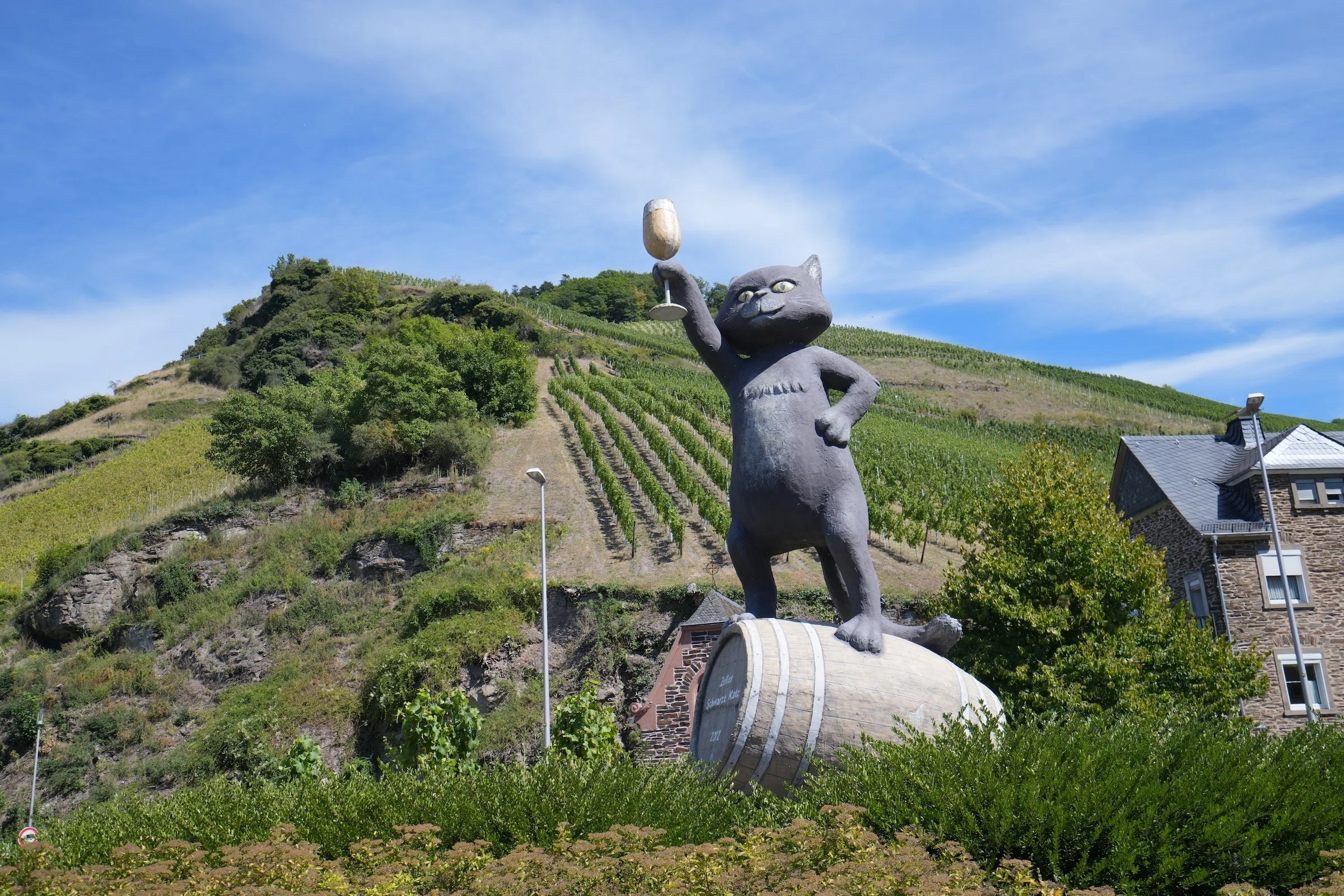 Zell｜黒猫伝説のドイツワインの街を旅する｜建築計画+環境心理ゼミ