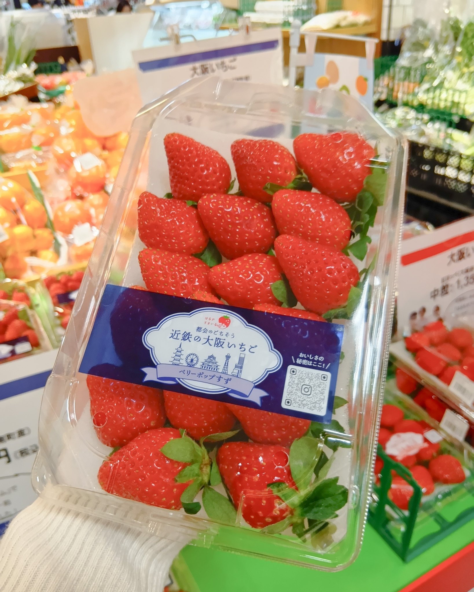 大阪いちご「はるかすまいる」の販売がスタートしました！「朝採り
