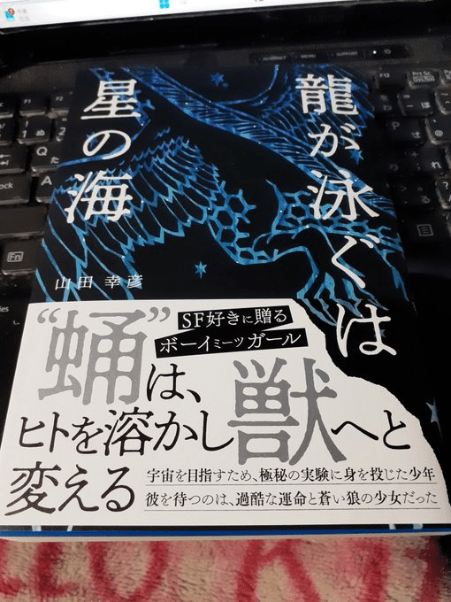ざつ』252。粋なゲーマー更新、MEAD-ZINEVol.2電子版、知人の古希祝い