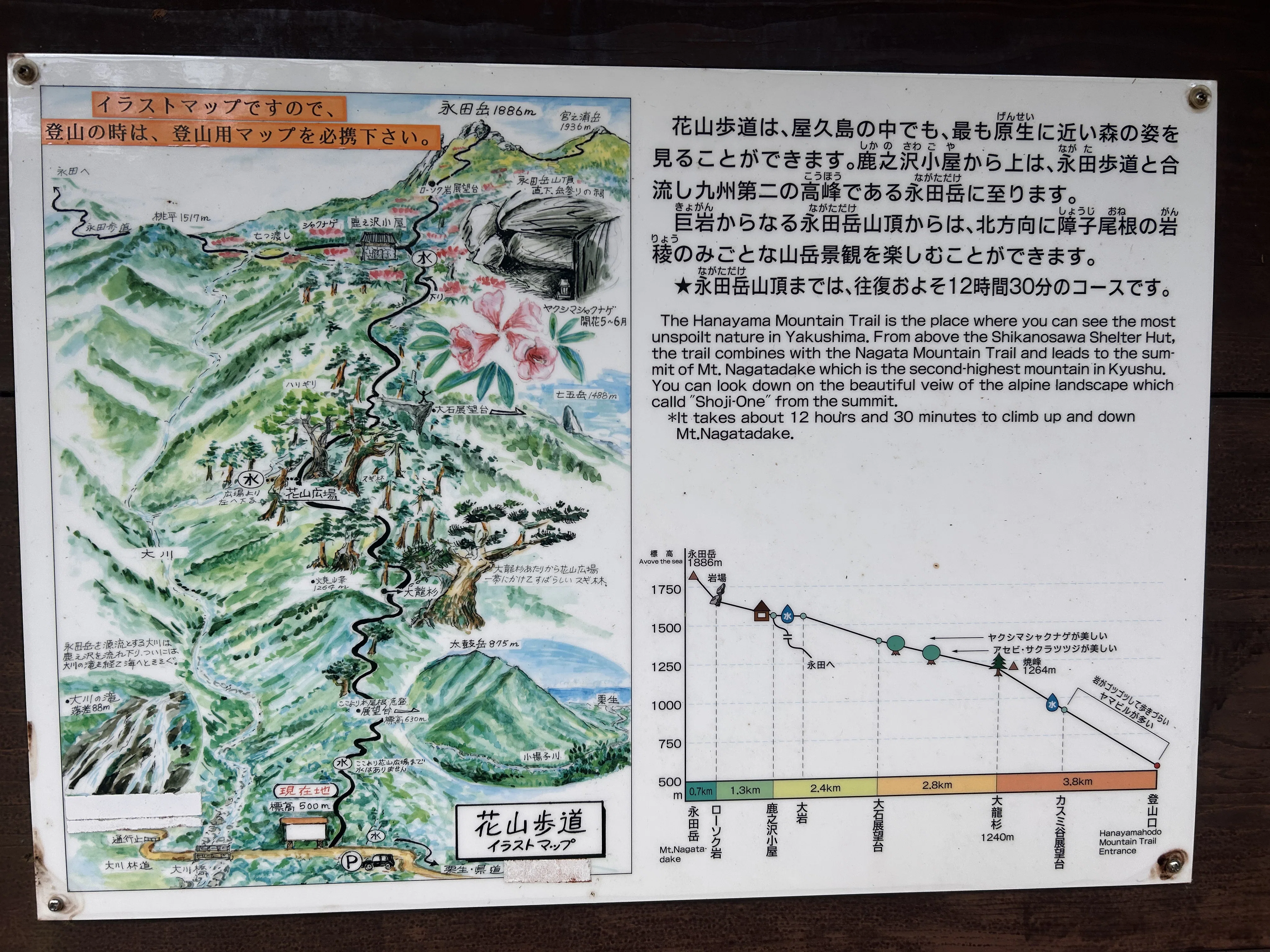 屋久島旅2025 vol. 2 花山歩道と鹿之沢小屋での奇跡の出会い｜Kouhei